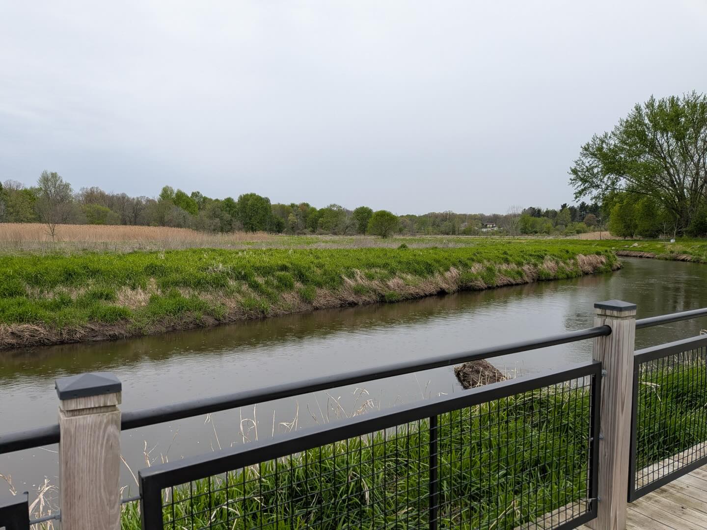 Quinnay, Michael, and Andrew all joined our Community in Nature walk in Dexter this week and soaked in the beauty of Mill Creek! 🌿✨
Connecting with others while also going out in nature stacks up benefits mental, physical, and relational well-being.
We’d love for you to join us on upcoming walks:
🗓 Tuesdays at 11 AM
📍 Chelsea (May 12)
📍 Stockbridge (May 19)
📍 Manchester (May 26)
📍 Grass Lake (June 2)
No registration needed—just come as you are 💛