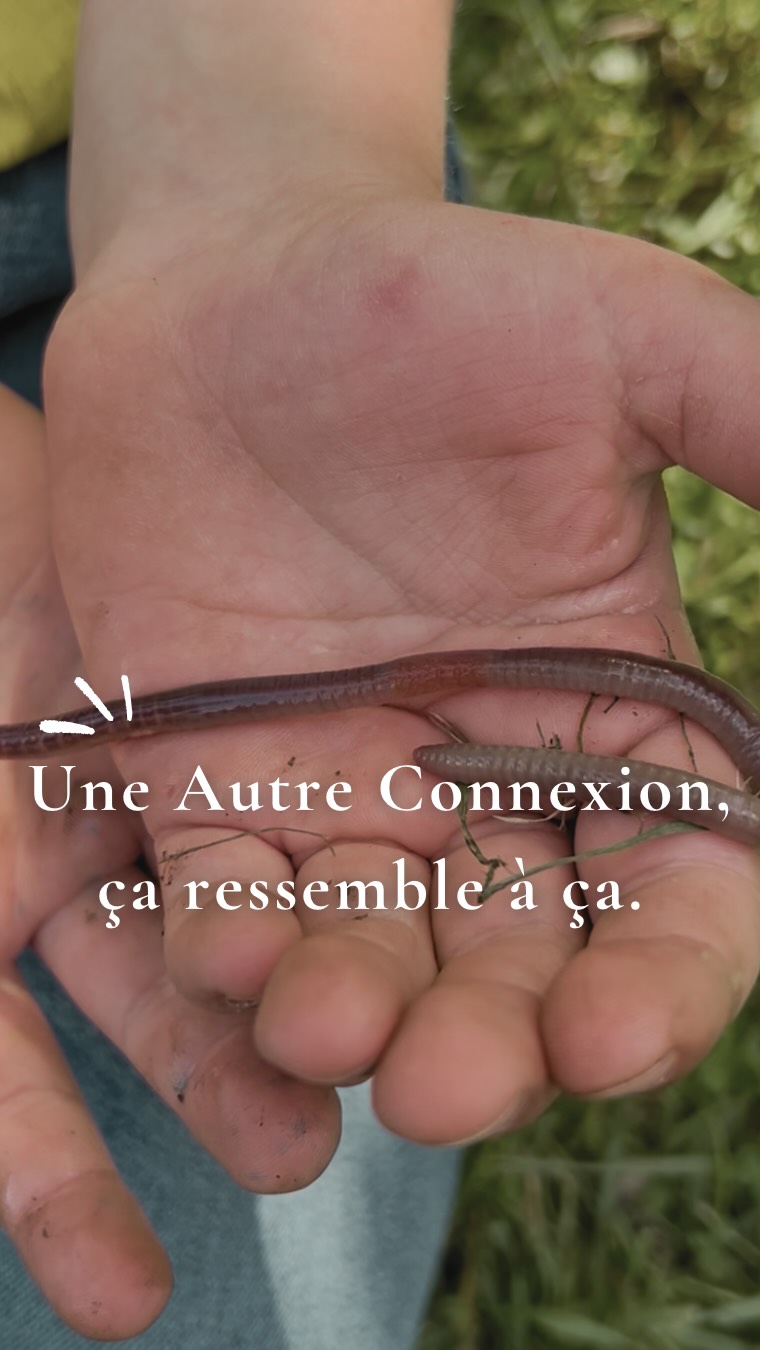 Quatre jours en nature.
Genoux sales, poches pleines, yeux grands ouverts.
C’est ça, une autre connexion.
#unautreconnexion #stagenature #enfantsdehors #tempsdehors #famillenature
Image 3 : jeu « Sur la piste des animaux » issu de la formation Passeur de Nature, que j’ai suivie ;)
Dernière image : jeu réalisé par le CPN l’Appel Buissonnier - Emilise Prim