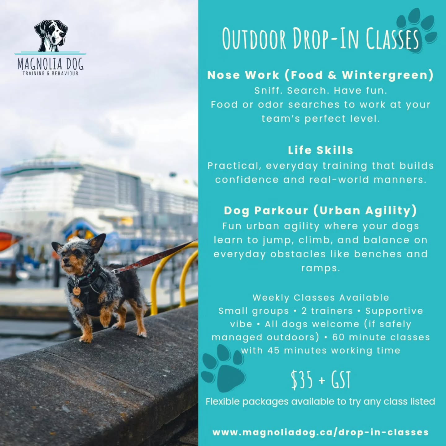 Drop-in classes this week 👇
• Life Skills — tonight at 6:00
• Wintergreen Car Searches — tonight at 7:15
• Parkour — tomorrow at 5:30
Book a single session or grab a package and mix & match to try what fits your dog best! Register up to 2 hours before class. We look forward to seeing you soon