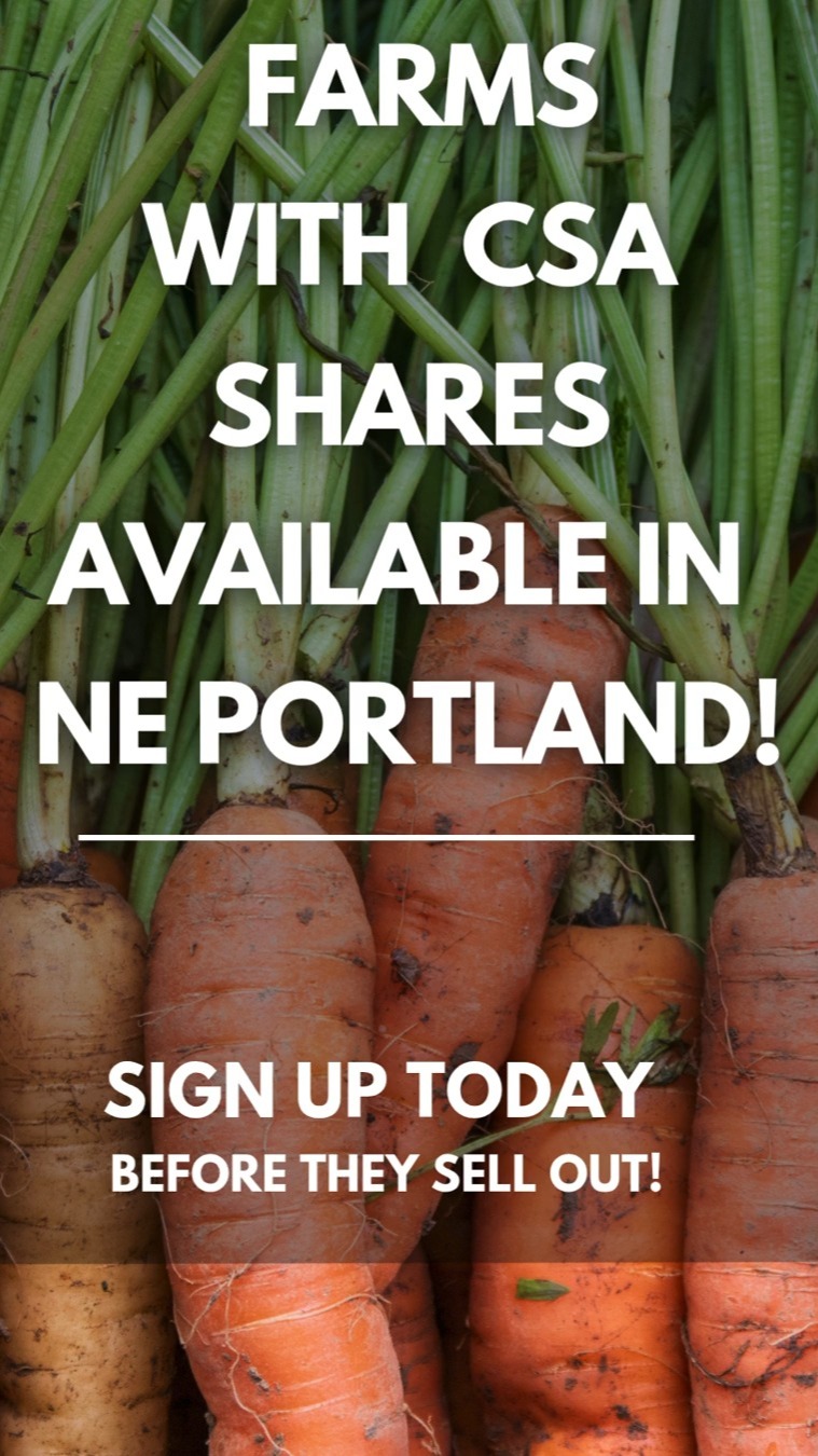 Hey NE Portland, looking for a CSA this summer? These farms still have shares.
If you want to eat local, delicious veggies all summer, this is your sign to sign up for a CSA.
Farms with pickups in the NE that still have spots in their CSA:
@cullyneighborhoodfarm
@thegroundmarket.love
@fullfarmcsa
@happinessfamilyfarm
@wintergreenfarm
@vicolofarm
@campo.collective
@sillygoosefarmspdx
👉 Find your farm
#neportland #portlandcsa #eatlocalpdx #pnwcsa #supportlocalfarms #communitysupportedagriculture #portlandfood #knowyourfarmer #eatseasonal #pnwcsa