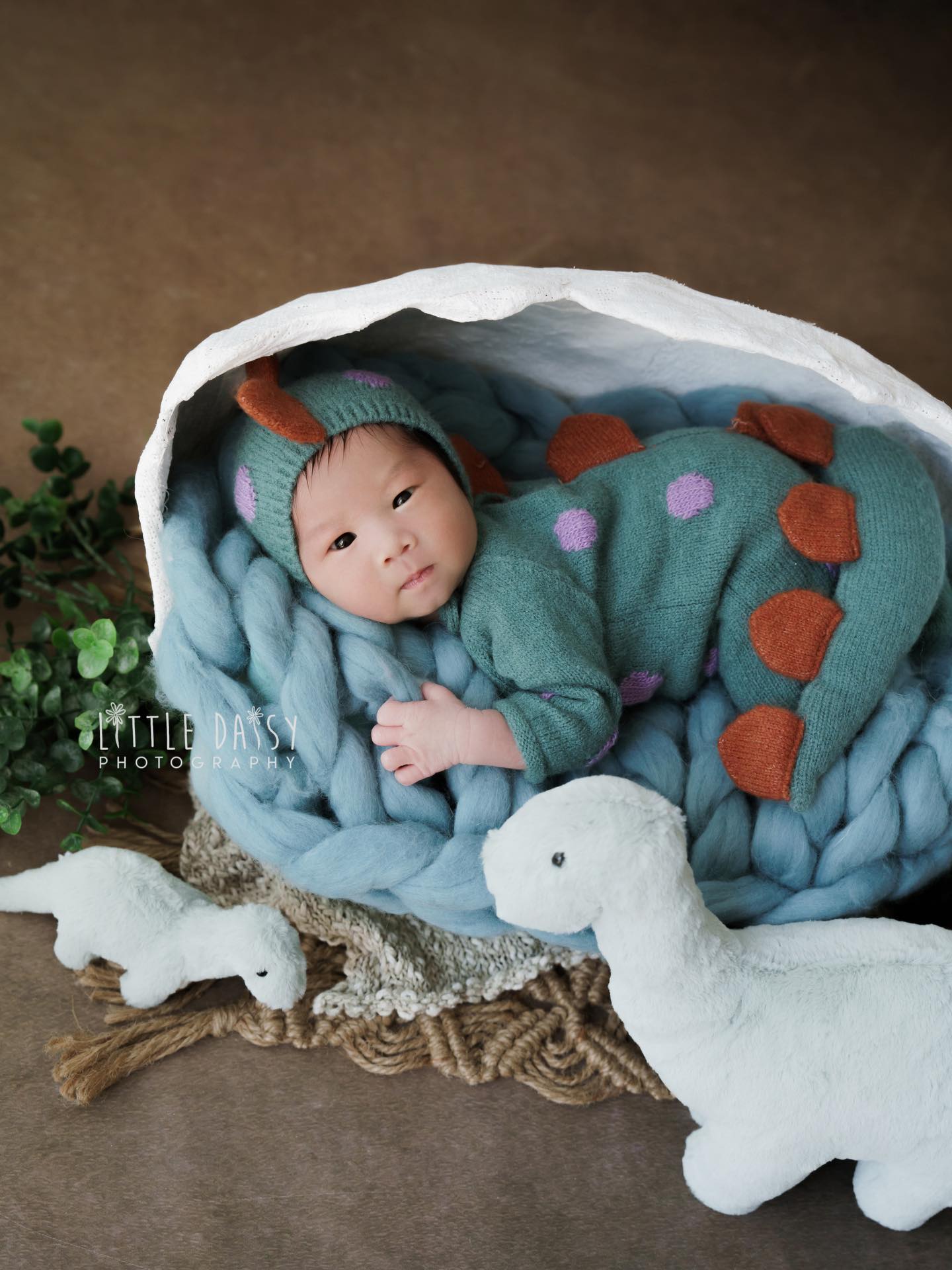 the rarest find! a baby dino, freshly hatched 🥚🦕
and somehow already the cutest thing we’ve ever seen 🤍