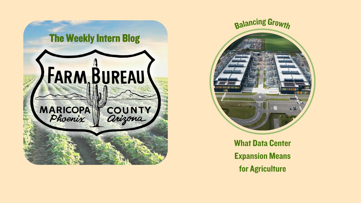 As data centers expand, they’re not just shaping the digital world; they’re also competing with agriculture for land, water, and energy.
Here’s why it matters.
#ArizonaAgriculture #FarmBureau #LandUse