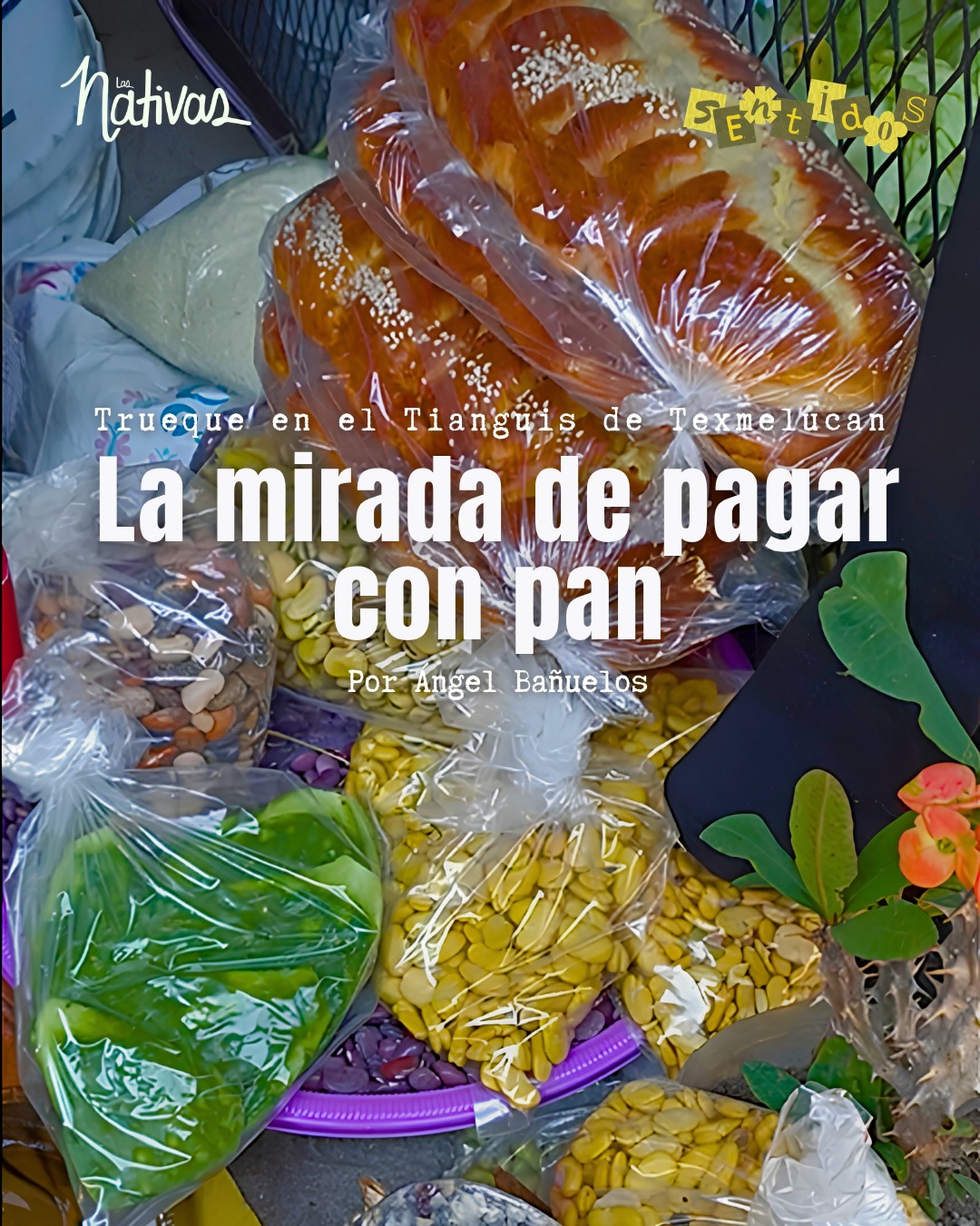 #Sentidos En el cuarto capítulo de nuestra serie transmedial, Ángel platica con los estresados comerciantes del Tianguis de San Martín Texmelucan, el mercado ambulante de ropa más grande de Puebla.
El exceso imperante de mercancía y movimiento contrasta con la misteriosa Zona de Cambio, un pequeño pasillo a orillas del tianguis en donde mujeres de la tercera edad practican el trueque.
Conoce la experiencia completa del segundo capítulo de nuestra serie transmedial SENTIDOS, en www.lasnativascuentan.com
#SanMartinTexmelucan #Texmelucan #Tianguis