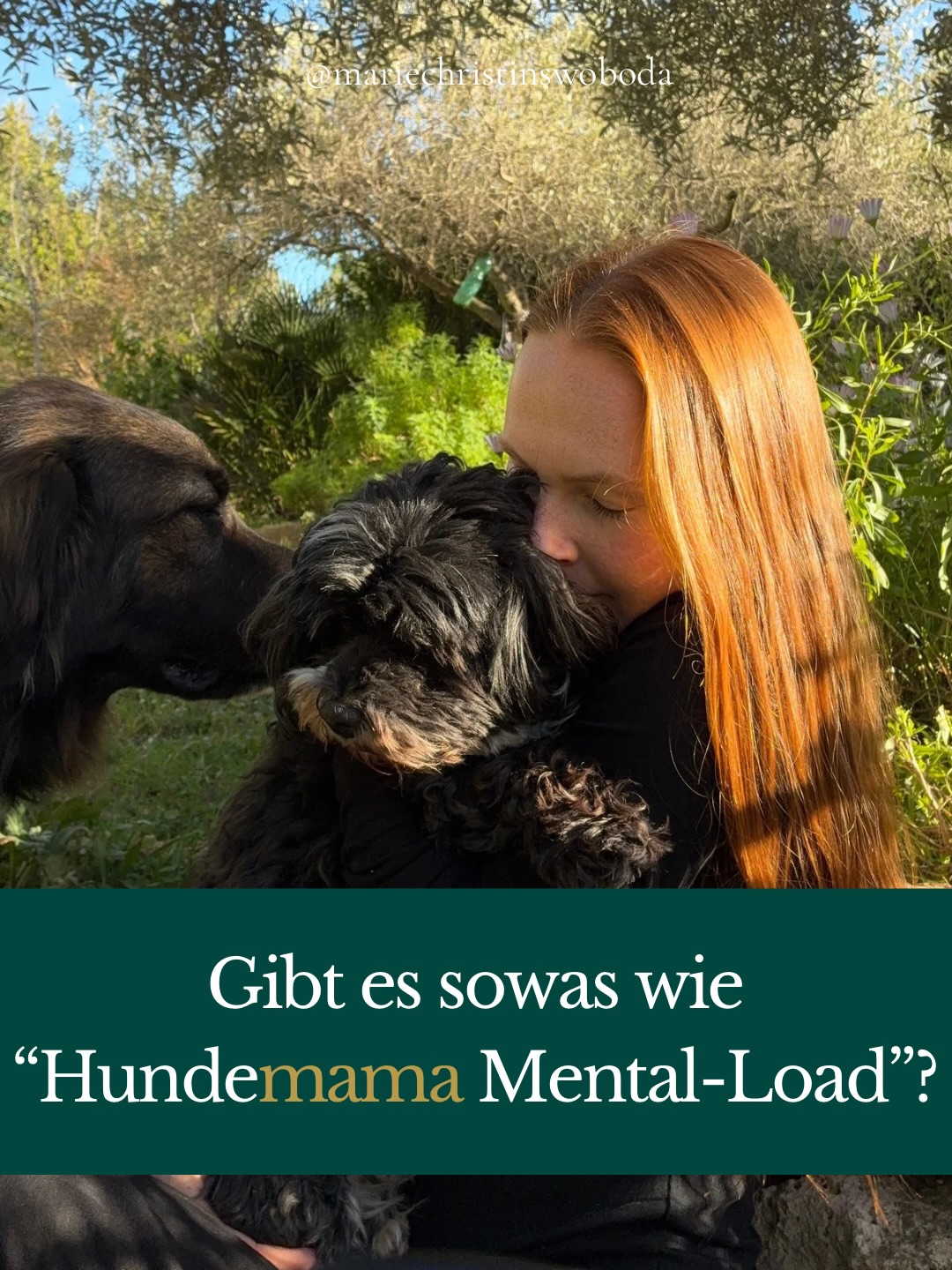 Was denkst du? Kennst du das Gefühl von Hundemama mental load?
Lies den ganzen Blog Artikel zum Thema. Kommentiere „Blog“ und ich schicke ihn dir 🫂
#Hundetraining
#Tierkommunikation
#Hundemama
Hundemama-mental-load
Alternatives Hundetraining
Beziehung vor Erziehung
Hundeerziehung