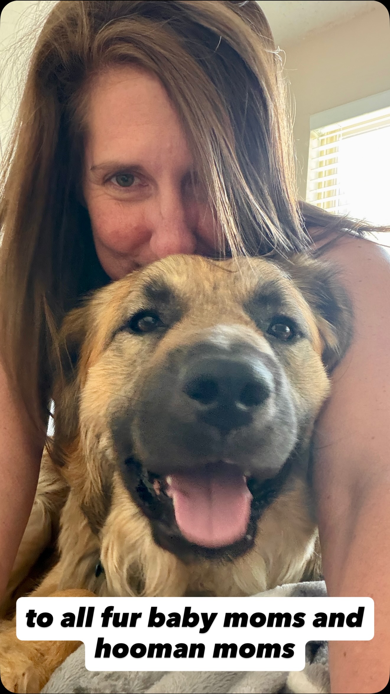 To all the fur baby moms and hooman moms out there in perimenopause & menopause… 🐶
May your hot flashes be brief, your joints be unbothered, your coffee stay hot and your dishes magically be done.
May your naps be uninterrupted, your snacks hidden from everyone else and your hormones choose peace for at least one day.
And remember: calories do NOT count today. 💐✨
#mothersday #dogmom #hooman #finn #dogsofinstagram