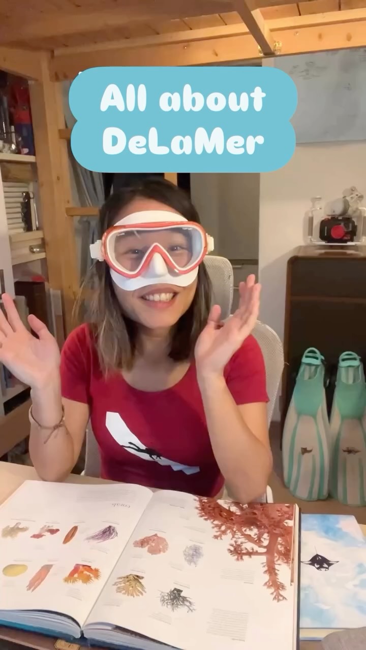 What is DeLaMer?
In French, it means “from the sea”. Come find out why we are here, how we engage, and what we do in the video 👆
Stay salty, and I will see you underwater! 🐠
#DeLaMer