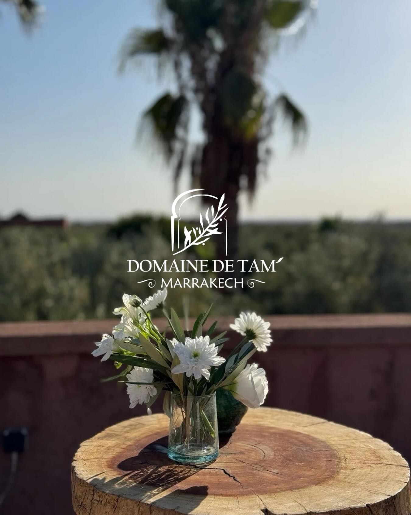 Un lieu pensé pour des “oui” inoubliables 🤍
Laissez-nous transformer le mariage de vos rêves en réalité ✨
A setting designed for unforgettable “I do’s” 🤍
Let us turn your dream wedding into reality ✨
#mariagederêve #weddinginspiration #mariagemaroc #weddingvenue