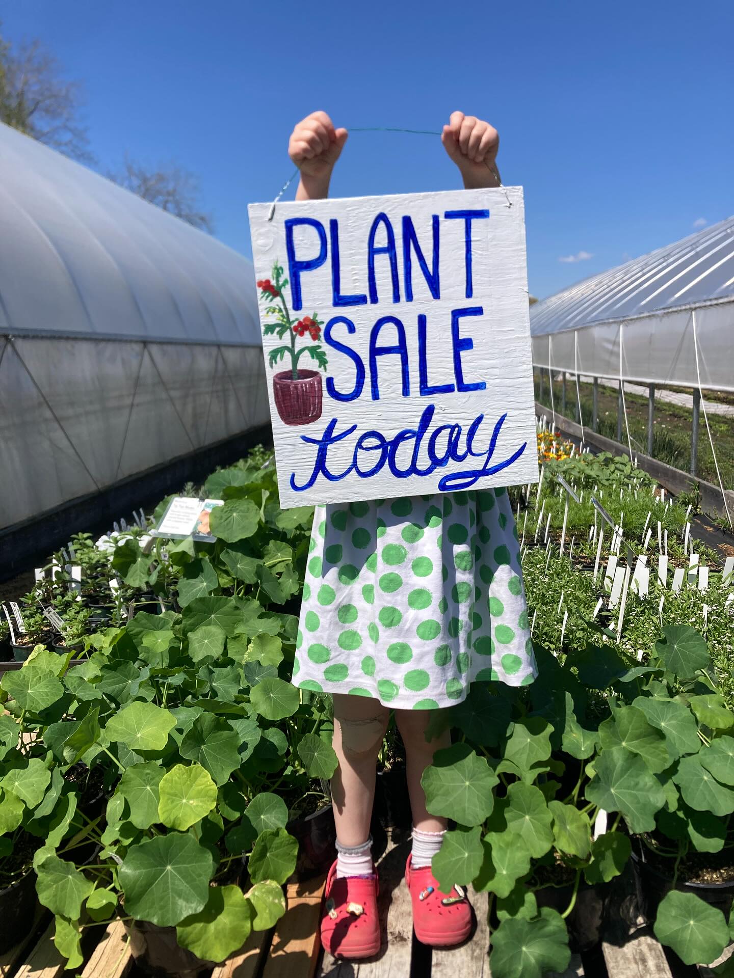 Plant Sale OPEN!
FRIDAY SATURDAY SUNDAY
9 am - 4 pm
-Organically grown garden favorites like tomatoes & peppers
-annual flowers great for cutting gardens
-perennial flowers to attract pollinators
-incredible huge blueberry bushes grown by our neighbor
See ya soon!