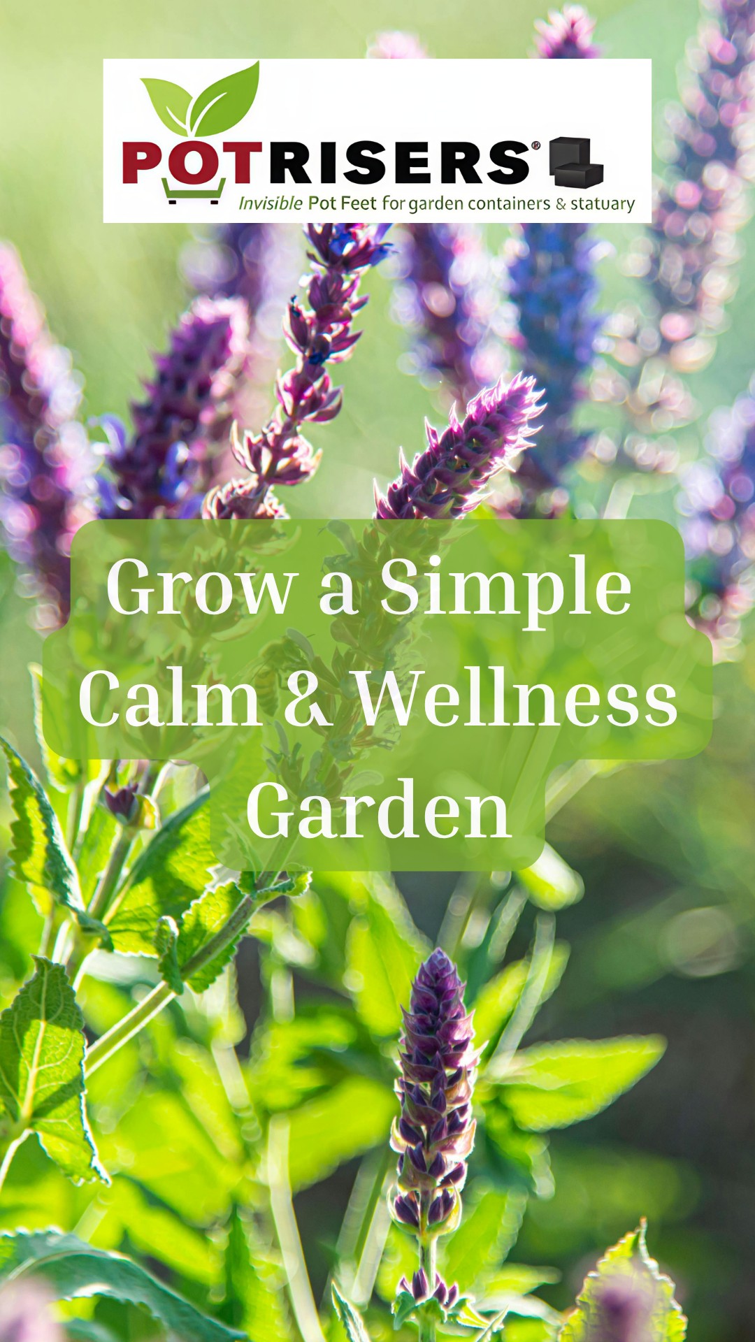 Create a space that gives back 🌿
A simple container tea garden brings more than beauty. It’s a daily ritual rooted in calm, flavor, fragrance, and natural wellness. Whether it’s a pot of mint on your patio or a mix of herbs by your back door, growing your own tea is one of the easiest ways to slow down and reconnect.
Harvest, dry, steep… and enjoy a flavorful tea, iced or hot 🌼
Potrisers® help keep your containers elevated for better drainage and healthier roots, while protecting your surfaces from staining and damage. Find them at your local garden center or shop online (link in bio). Follow us for more gardening tips.
#TeaGarden #HerbGarden #GrowYourOwn #GardenTherapy #WellnessGarden #HomegrownHerbs #HerbalTea #ContainerGardening #PatioGarden #OrganicLiving #NaturalWellness #GardenInspiration #PlantCare #GrowYourOwnFood #SlowLiving #MindfulLiving #BackyardGarden #GardenLife #HealthyHabits #Potrisers