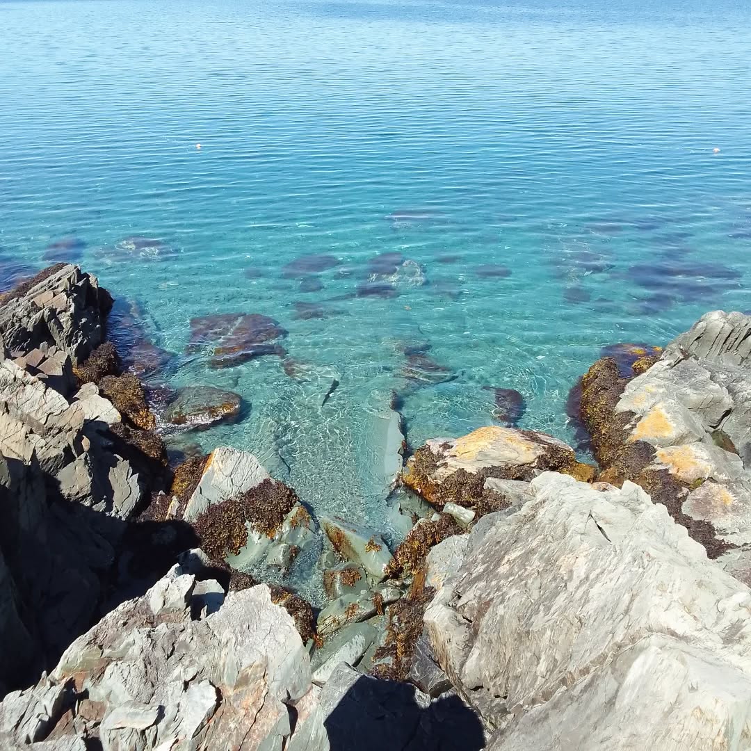 New Blog Post: Navigating the Edge of Possibility: Electromagnetic fields in Manual Therapy
https://www.dealtrynadya.com/post/navigating-the-edge-of-possibility
Open minds and hearts! 🤍♥️🙏