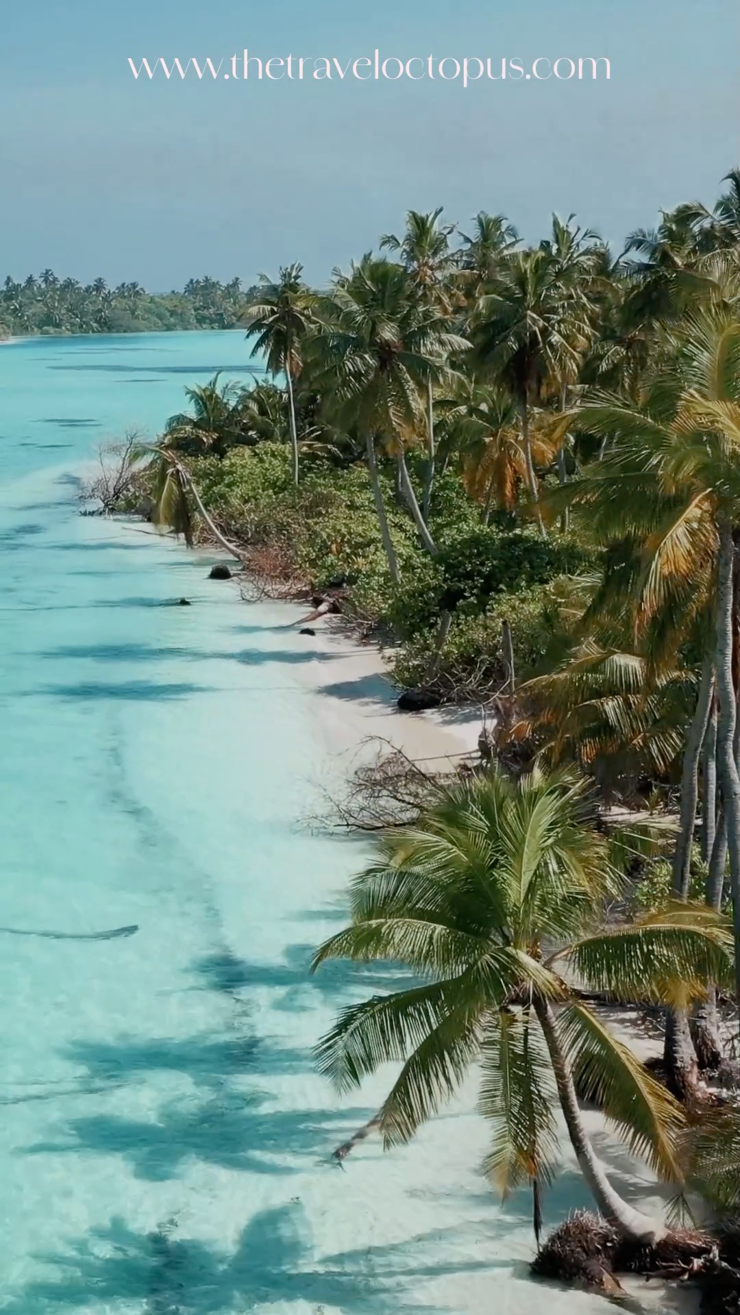 Summer is just around the corner! If you haven't started planning that dream escape, there is no better time than now! www.thetraveloctopus.com #summervibes #travelplanner #fomo #vacationplans #thetraveloctopus