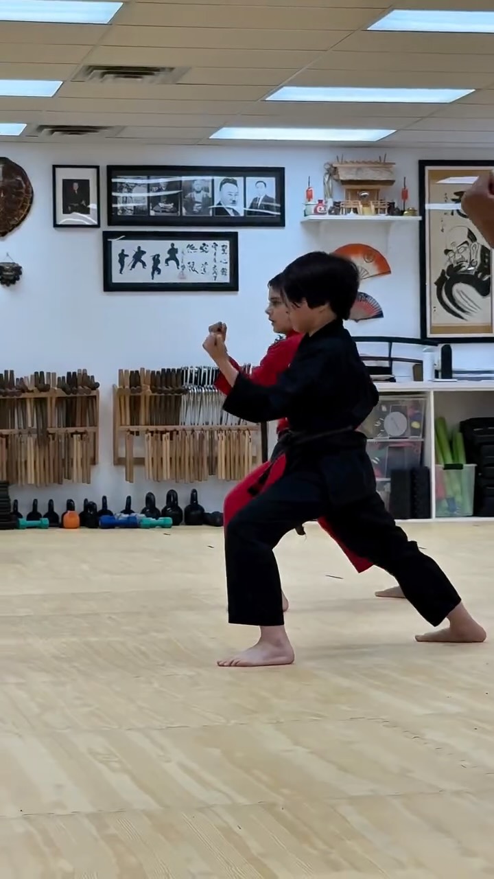 Better everyday.
The work continues…
—————
#northernkarate #martialarts #toronto #karate #highpark
