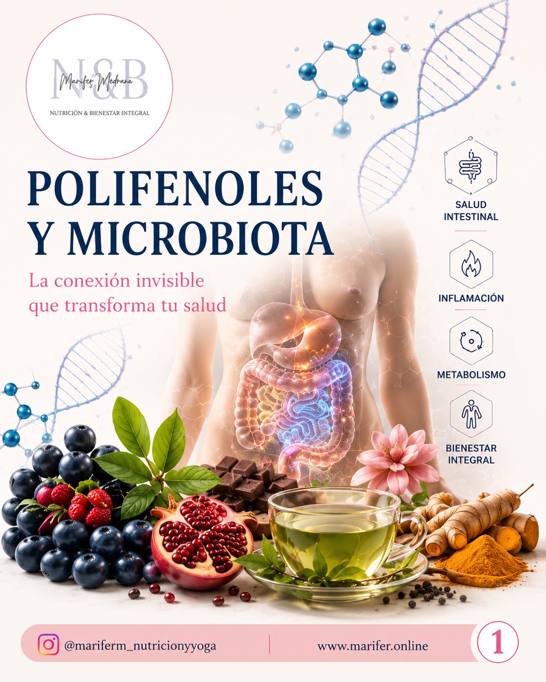 🧬✨ Lo que comes no solo alimenta tu cuerpo… también alimenta a tu microbiota.
Hoy sabemos que los polifenoles presentes en alimentos como frutos rojos, té verde, cacao, cúrcuma y granada pueden influir directamente en la diversidad bacteriana intestinal, la inflamación y el metabolismo. 🌿
La ciencia está demostrando que una microbiota saludable no solo impacta la digestión:
✔️ puede influir en tu energía
✔️ regulación del hambre
✔️ salud metabólica
✔️ inflamación sistémica
✔️ bienestar integral
En este carrusel te explico de forma visual y basada en evidencia:
🧠 qué son los polifenoles
🦠 cómo interactúan con la microbiota
🔥 qué beneficios científicos tienen
🥗 qué alimentos contienen mayor cantidad
La nutrición del futuro ya no se trata solo de calorías…
se trata de nutrigenómica, microbiota y medicina personalizada. ✨
💾 Guarda esta publicación para consultarla después
📤 Compártela con alguien interesado en salud intestinal
💬 Cuéntame en comentarios: ¿qué alimento rico en polifenoles consumes más frecuentemente?
Sígueme para más contenido basado en ciencia sobre:
🧬 microbiota
🥗 nutrición funcional
🧠 nutrigenómica
✨ bienestar integral
#Microbiota #SaludIntestinal #Polifenoles #Nutrigenómica #NutriciónFuncional GutHealth Microbiome SaludMetabólica NutriciónBasadaEnCiencia Inflamación Akkermansia BienestarIntegral NutriciónClínica SaludDigestiva MedicinaFuncional MicrobiotaIntestinal NutriciónPersonalizada HealthyGut Nutrición MariferMed