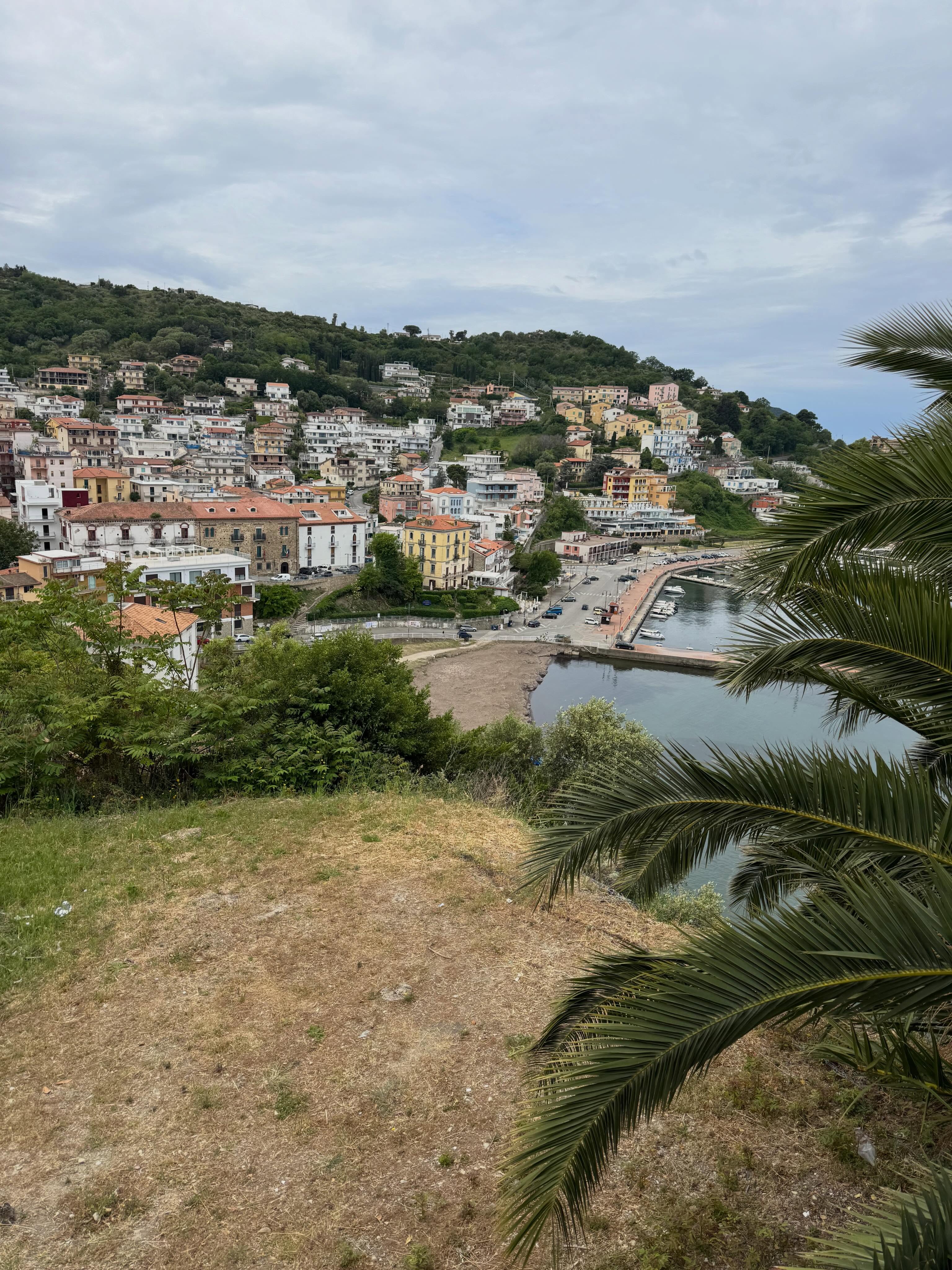 The first few days of hiking in Cilento National Park. Lucky to be hiking with my cousin, Robin@rrkoval and two of her friends @beritdeer and @laurmered . The villages here are small, full of winding narrow streets and friendly Italians. The trails have been full of wildflowers and taken us on beaches, through villages and up into the hills. Visiting Italy has been a dream of mine and grateful to be exploring it this way.