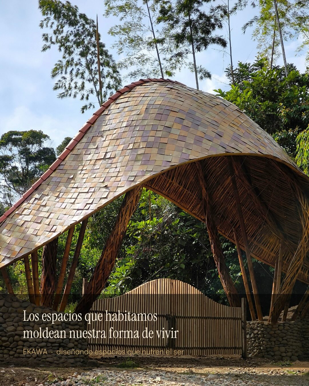 ¿Qué pasaría si los espacios donde vivimos nos ayudaran a sentirnos más vivos?
Ekawa nació como una exploración viva entre arquitectura, naturaleza y comunidad.
Un laboratorio construido principalmente con bambú, donde el bosque, el agua, la luz y la vida cotidiana hacen parte de la arquitectura.
Aquí los espacios no buscan separarnos de la naturaleza, sino volver a acercarnos a ella:
cocinar juntos,
contemplar el paisaje,
escuchar el silencio,
crear,
compartir
y habitar a otro ritmo.
Lo que empezó como una exploración con bambú, hoy se está convirtiendo poco a poco en la semilla de una aldea viva 🌿
¿Cuál de estos espacios te hizo imaginar una vida así?