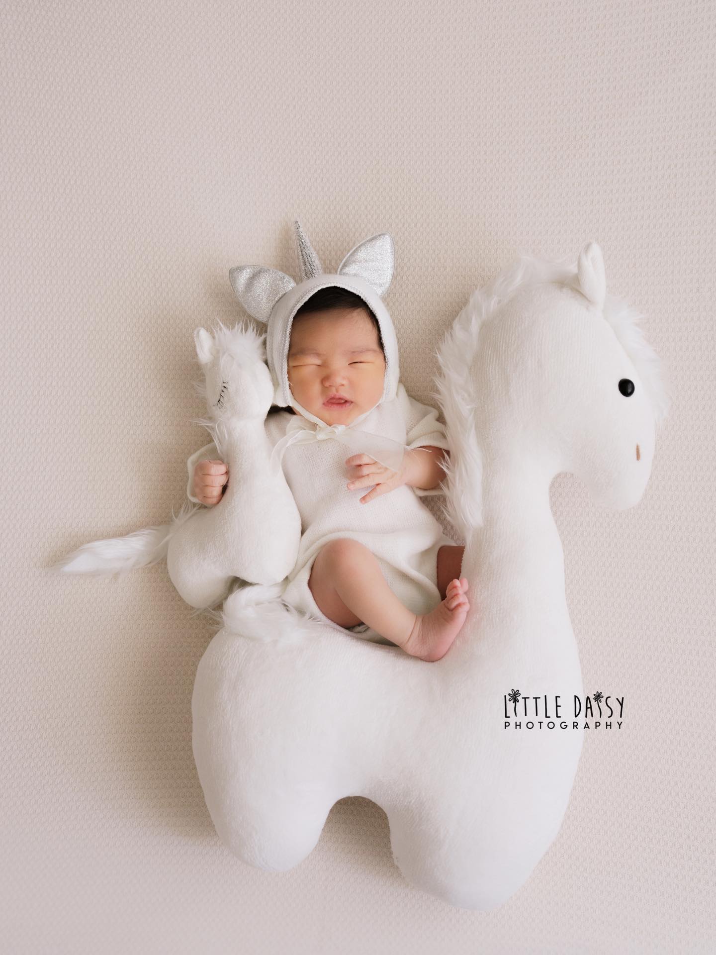 galloping into the world in the most magical way 🐴✨