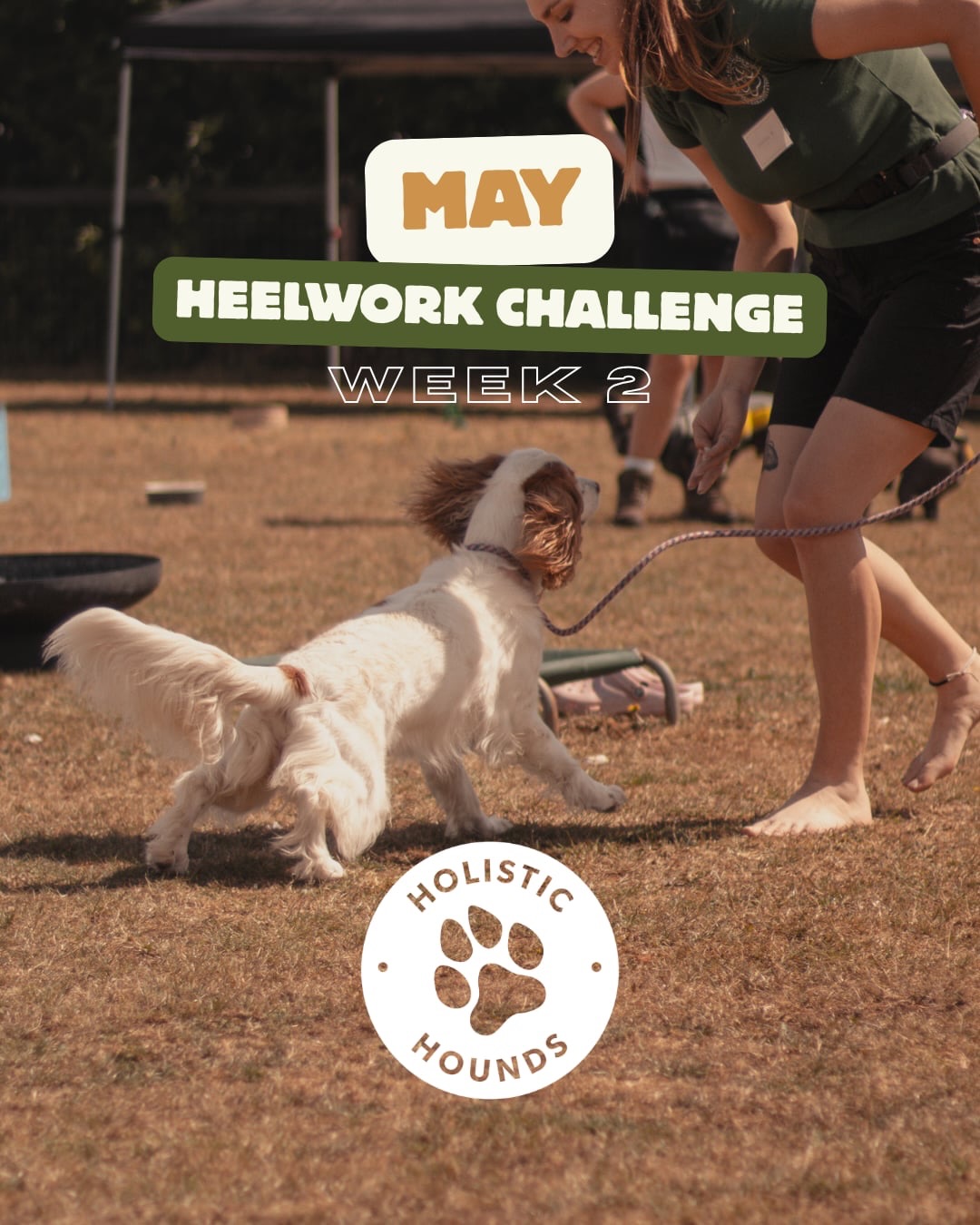 May Heelwork Challenge - Week 2 🔥
This week is all about building that lovely position that will mean our dog has clarity and an understanding of how to hold that position and maintain it in movement!
So if you’re joining us for this 4 week challenge - this is your next step!
So send us your sessions before we move on to week 3 and get practicing 💪🏻