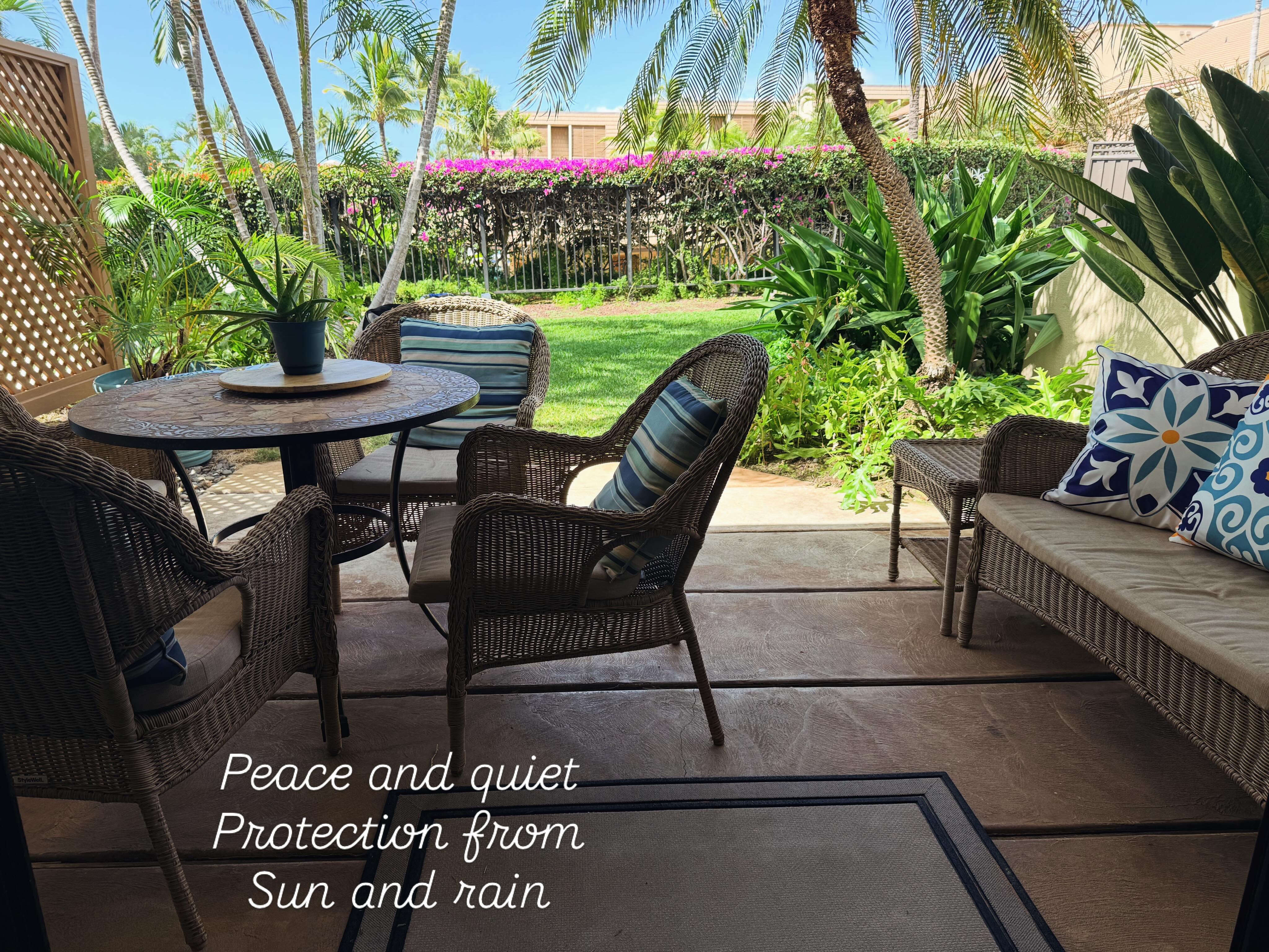 Enjoy a dwarf palm tree, a bird of paradise and your own gardening vision