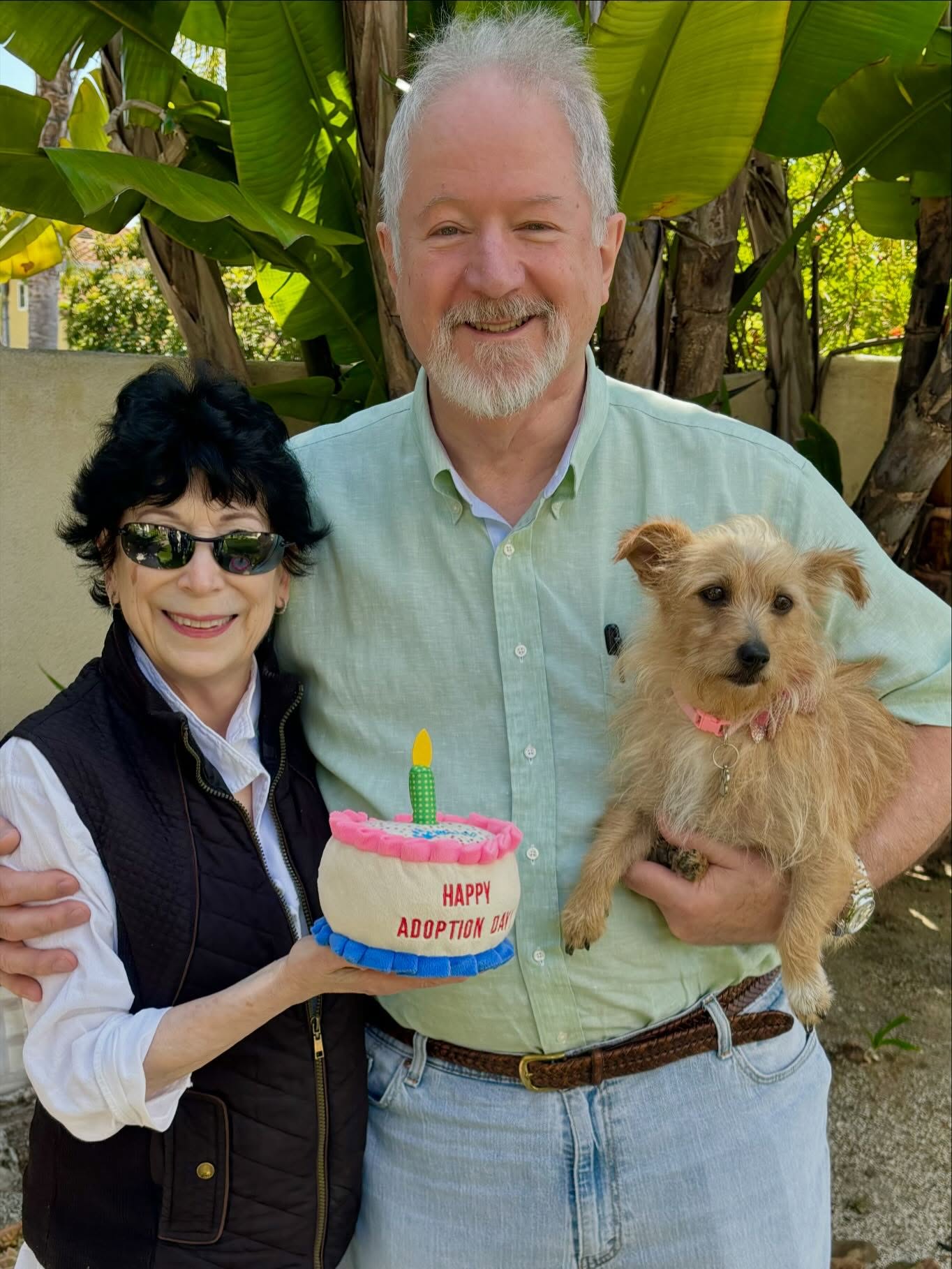 Our sweet Sherri was just ADOPTED!π«Ά
She has the most gentle, tender, loving spirit about her. We can't help feeling she got her heart broken when her family no longer wanted her & asked if we'd take her and the 5 puppies she had just birthed.... π’
When we transported Sherri here 2 1/2 weeks ago, she was so confused. At the first Adoption Event we took her to, she was scared and skitterish. You could see the fear in her eyes... She didn't understand what had happened to her family (human & canine.) Thankfully through the loving patience & fostering of our awesome ALMA foster @jakes1momcell she is doing SO much better and to see her smiling & wagging her tail today just melted our hearts. π
Her new mom & dad, Beatrice and Grant, can't wait to spoil her and fill her days with lots of love and affection.
What a great way to start of this MOTHER'S DAY weekend: finding a Forever Home for this brave little mama who will never be abandoned again..
#secondchances #cairnterrier #rescuedisourfavoritebreed #adoptdontshop #almarescue