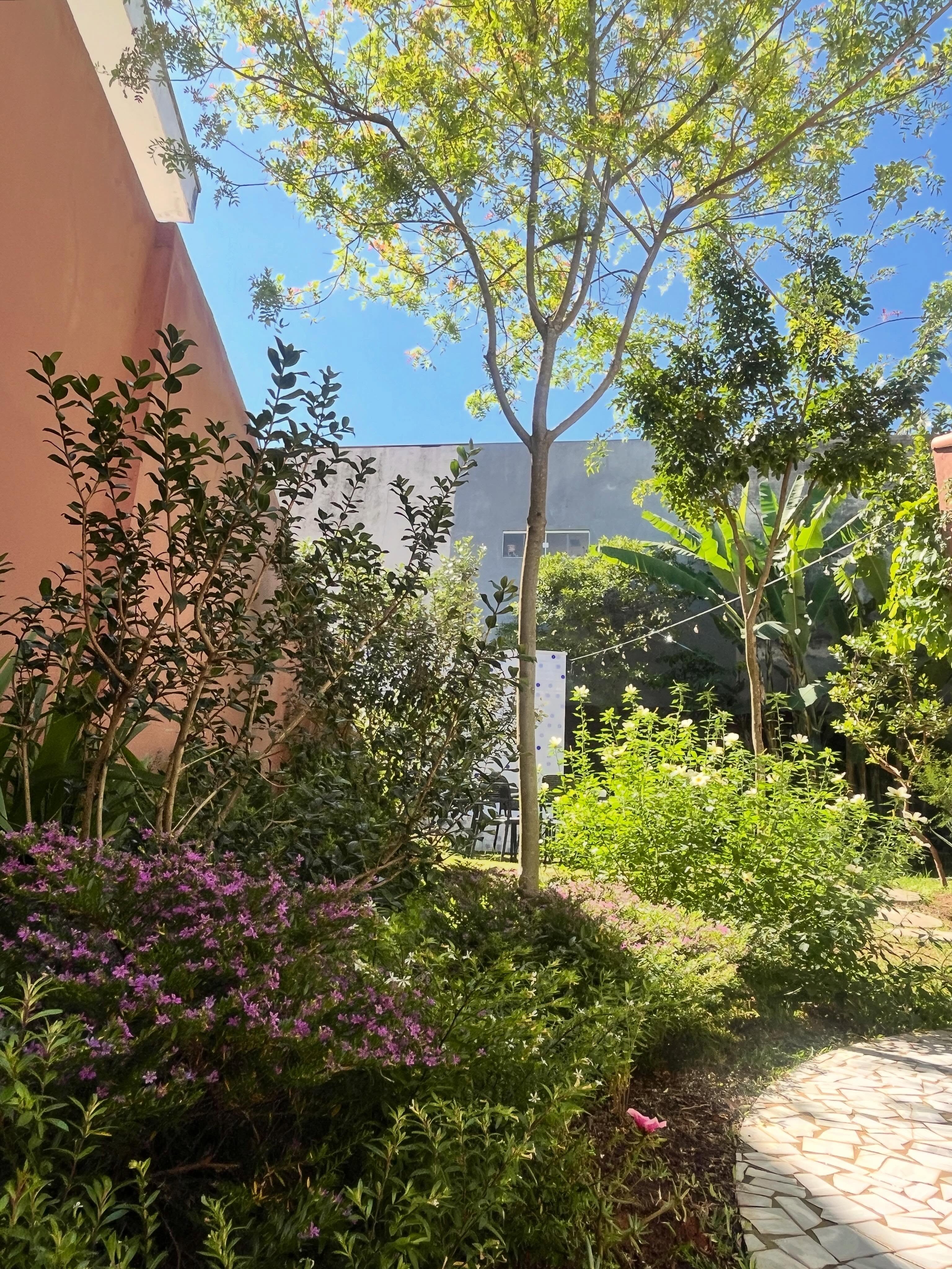 🇧🇷 Um jardim de nativas que cria um oásis urbana - nem precisa de tamanho para isso. Basta fazer as composições que vão trazer esta sensação de mini paraíso - aqui na foto: Aroeira Pimenteira (Schinus terebinthifolia ), Flor do Guarujá (Turnera subulata), Pitangatuba (Eugenia selloi), Falsa Érica (Cuphea gracilis), Íris Azul (Neomarica caerulea)
.
🇬🇧A native garden that creates an urban oasis – without a specific size limit. Just look at the compositions that aim to evoke this mini-paradise feeling – here’s a photo: Brazilian Pepper Tree (Schinus terebinthifolia), Guarujá Flower (Turnera subulata), Pitangatuba (Eugenia selloi), False Erica (Cuphea gracilis), Blue Iris (Neomarica caerulea)
.
#paisagismo #designbiofílico #paisagismoresidencial #floranativa #biodiversidade