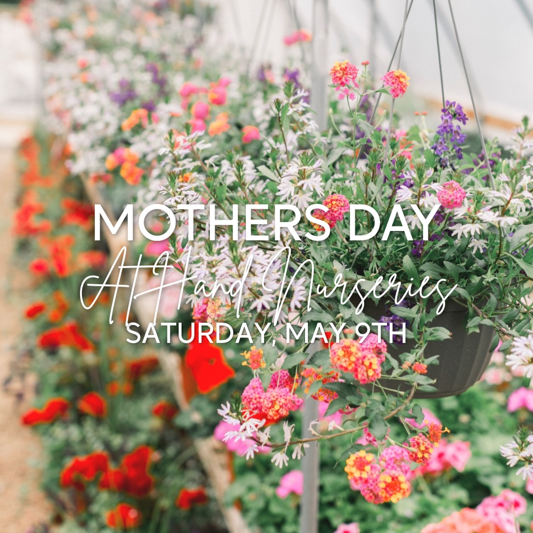 Come out and treat yourself this Saturday at the nursery! Enjoy the grounds while treating yourself to something bright and beautiful! We will have refreshments and caricature artist from 10-1pm. 💕 Happy Mothers Day weekend!