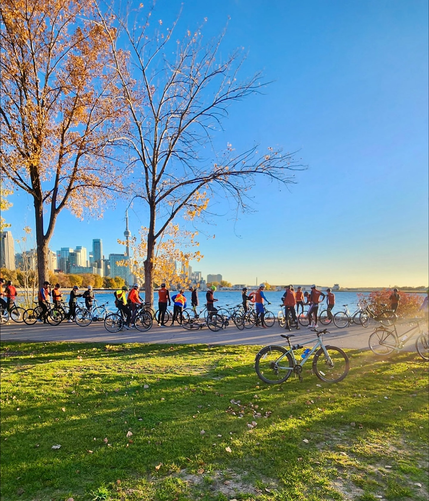 Ditch the boardroom for a ride. Swap stiff chairs for fresh air and shared laughs as your team explores Toronto by bike. Our tailored routes, professional guides, and easy pacing make bonding natural, safe, and unforgettable. Perfect for HR planners and group leaders — we handle the logistics so you can focus on the people. Ready to ride together? Link in bio 🚲🌤️📸
#PedalToronto #TeamBuildingTO #TorontoCorporateEvents #ExploreTO #CyclingCulture #GroupRides #TorontoLife #WorkplaceWellness