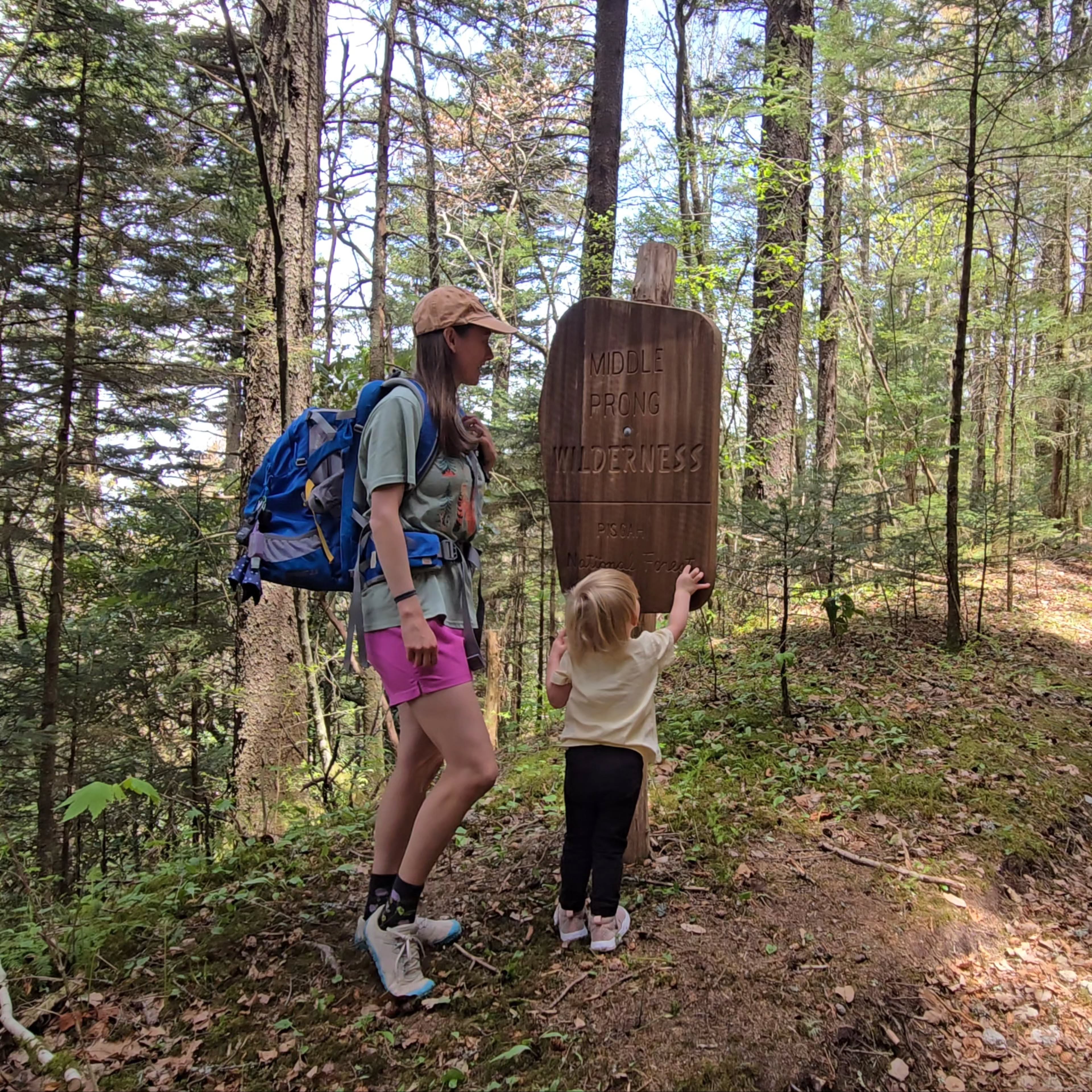 Last stop 📍Buckeye Gap. Middle Prong Wilderness is home to some really rugged trails. It's also home to a variety of wildflowers. This is an ideal spot to catch a glimpse of them without wandering too far into the woods.
#springvibes #wildflowers #walkinthewoods #hikingwithkids #stayoutsidemom