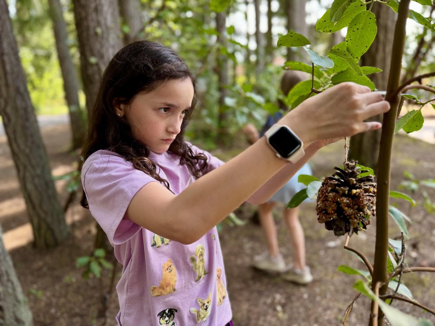 We ❤️ SPRING!🌱🌼 A heartfelt thank you to our Lower Elementary students for creating beautiful pinecone bird feeders to welcome our feathered friends, and to our Upper Elementary students for helping beautify our garden spaces and plant this season’s crops — including corn, cucumber lemons, green beans, and beets! 🌽