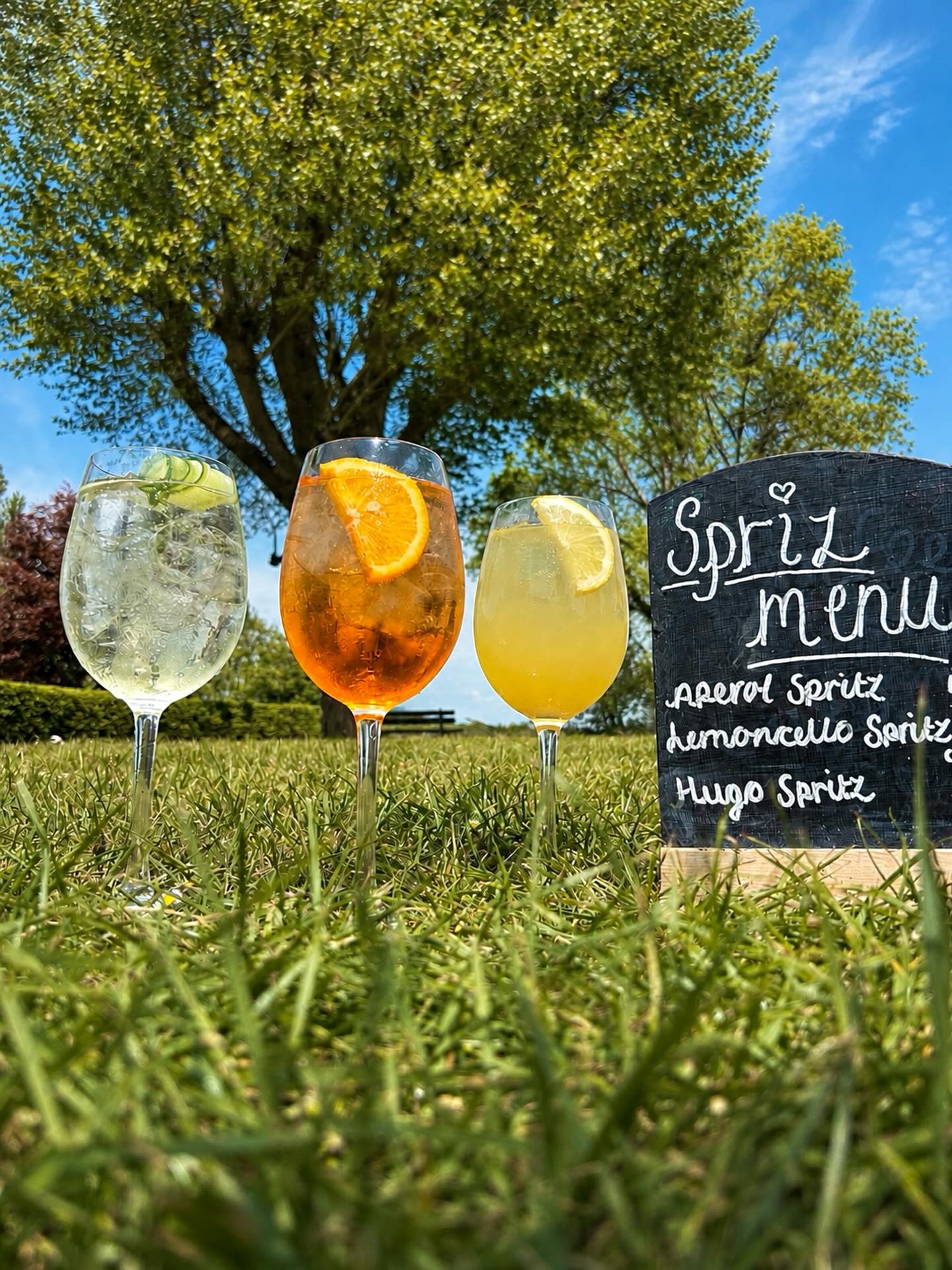 Spritz season has arrived 🍊🌿
Find your favourite and enjoy it on the green by the lake #harveysbrewery #spritztime #cocktail #pubgarden #kent