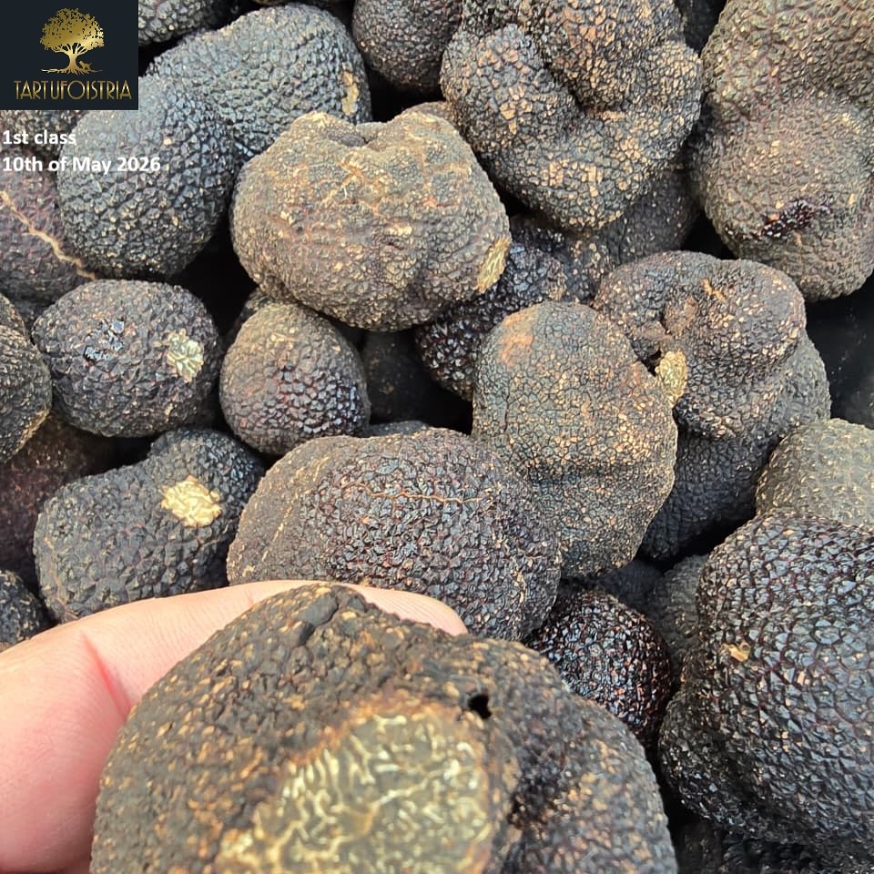 Always class 1 ! Beautifull winter truffles available!!!#wintertruffles#wintertruffle#available#