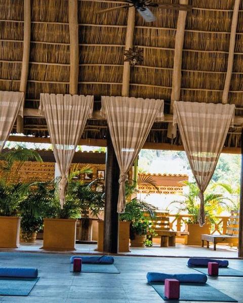 Most people think a vacation is about escaping their life.
But what if it was about returning to it? 🙏
What happens when you pause for 5 days in paradise, surrounded by ancient wisdom and genuine community? When you finally give your nervous system permission to rest? When you're held by a safe space designed just for transformation?
That's Sayulita. That's the return to yourself.
Yoga at sunrise. Meditation in nature. Meals with people who get it. Practices you'll carry home forever.
Limited spots | Feb 7-12, 2027
Discover our retreats → https://www.wellness-travel.net 💛
#ReturnToSelf #WellnessRetreat #TransformationalTravel #SayulitaMexico #CommunityHealing