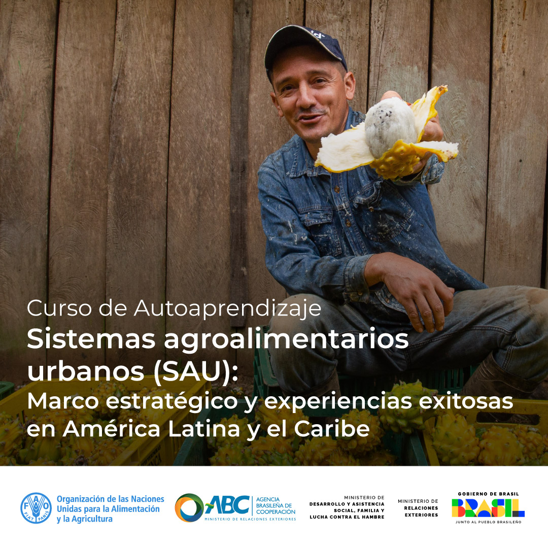 ¡Impulsando ciudades más sostenibles! 🏙️🍎
Participa en el curso de autoaprendizaje: "Sistemas agroalimentarios urbanos (SAU): Marco estratégico y experiencias exitosas en América Latina y el Caribe". 🌎
Este programa busca dotar de herramientas y conocimientos clave para transformar la forma en que nuestras ciudades se alimentan, aprendiendo de casos de éxito reales en nuestra región.
Revisa más información en capacitacion.fao.org