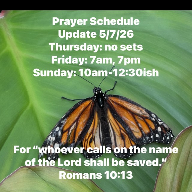 For updates and full schedule go to
www.lighthop.org
Lighthouse of Prayer
1011 N 26th St
Kalamazoo, MI 49048
Streaming link at www.lighthop.org
Not forsaking the assembling of ourselves together, as is the manner of some, but exhorting one another, and so much the more as you see the Day approaching. Hebrews 10:25
Brethren, pray for us.
1 Thessalonians 5:25