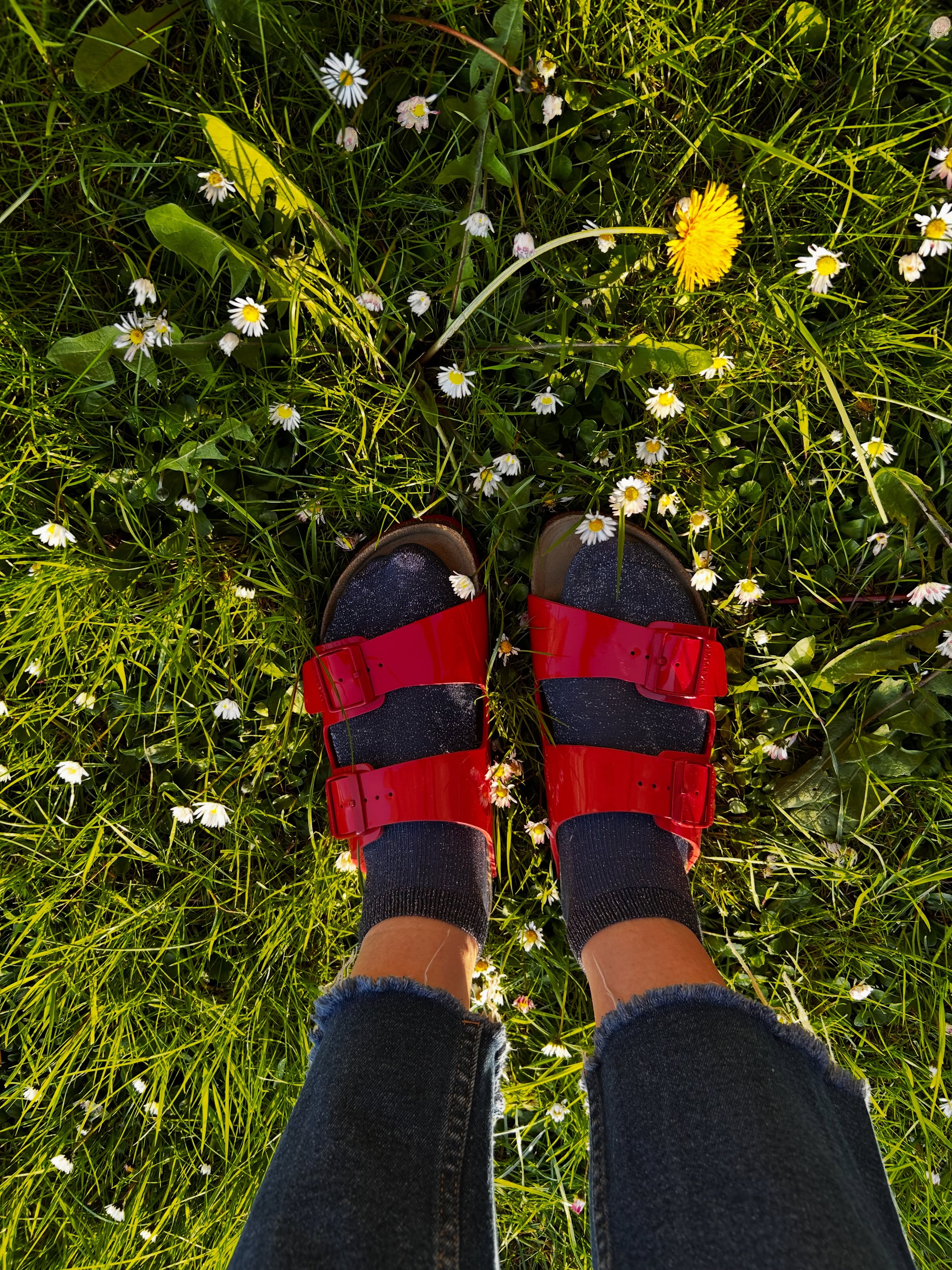 My collection of Birkenstock @birkenstock sandals is a family joke. Because I have them in all the colours of the rainbow. Well..nearly. I could never find my favourite colour, red ( obviously) until now.
Here they are in all their FuzzypegFolk Red glory!
Look out for them in future posts because I’m never going to take them off.
#redbirkies #finallyfoundthem #redisthebestcolour #nevergoingtotakethemoff