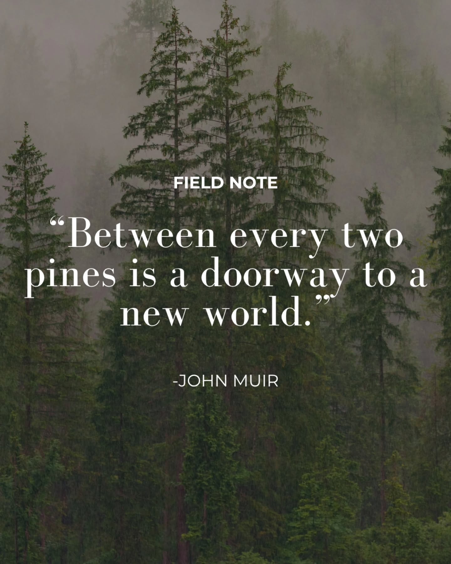 Sometimes a walk outside really does change the whole mood.
A little quiet. A little green. A little reminder that you’re allowed to slow down.
#naturequotes #slowlife #nature #mood #outdoorsy