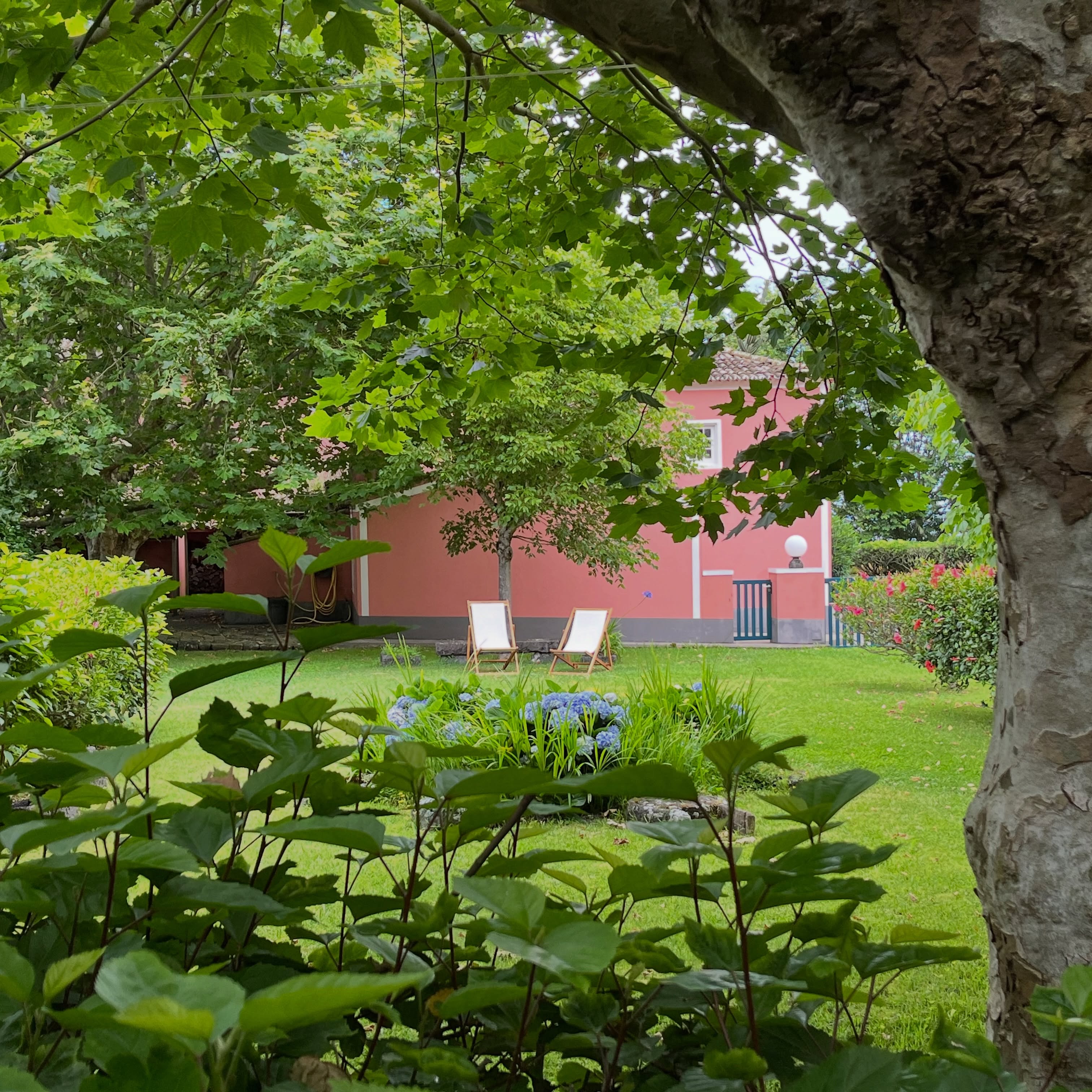 A quieter side of the island.
#SolarDeLalem #Azores #SaoMiguel #AzoresIslands #SlowTravel IslandEscape NatureStay GardenViews VisitAzores PeacefulPlaces