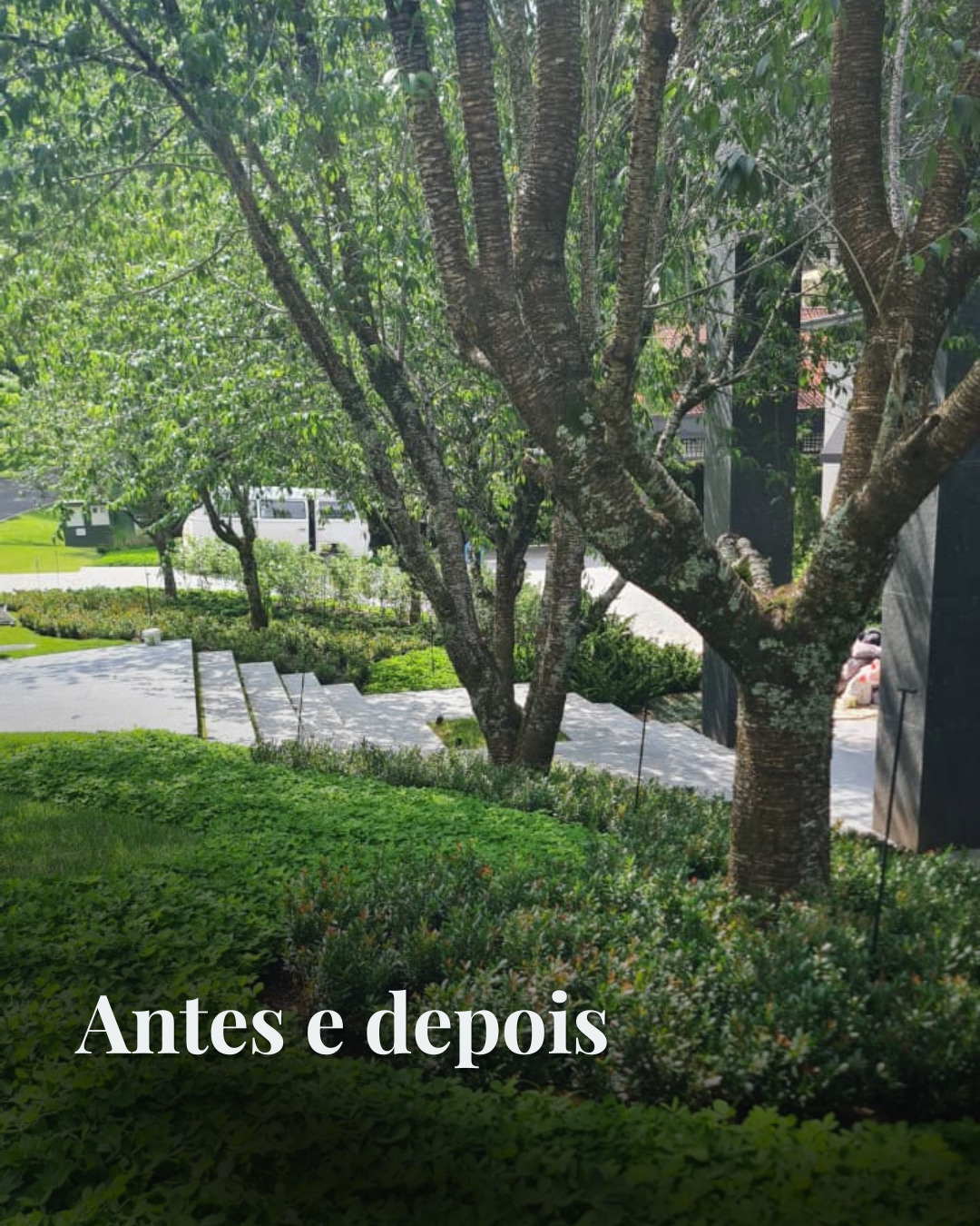 Todo espaço carrega um potencial esperando para ser revelado. 🌿✨
O paisagismo vai muito além de colocar plantas em um ambiente.
É transformar sensações. É criar acolhimento, vida, presença e conexão com o espaço.
Neste projeto, foi pensando na valorização e arquitetura, para trazer equilíbrio e fazer com que o ambiente ganhasse uma nova atmosfera.
O resultado não está apenas no visual, mas na forma como o espaço passa a ser vivido todos os dias.
Muitas vezes, tudo o que um ambiente precisa é do olhar certo para se transformar completamente.
E é isso que nos move há anos: transformar ideias em espaços cheios de vida. 💚
Se você também sonha em transformar seu ambiente, fale com a nossa equipe de paisagismo.