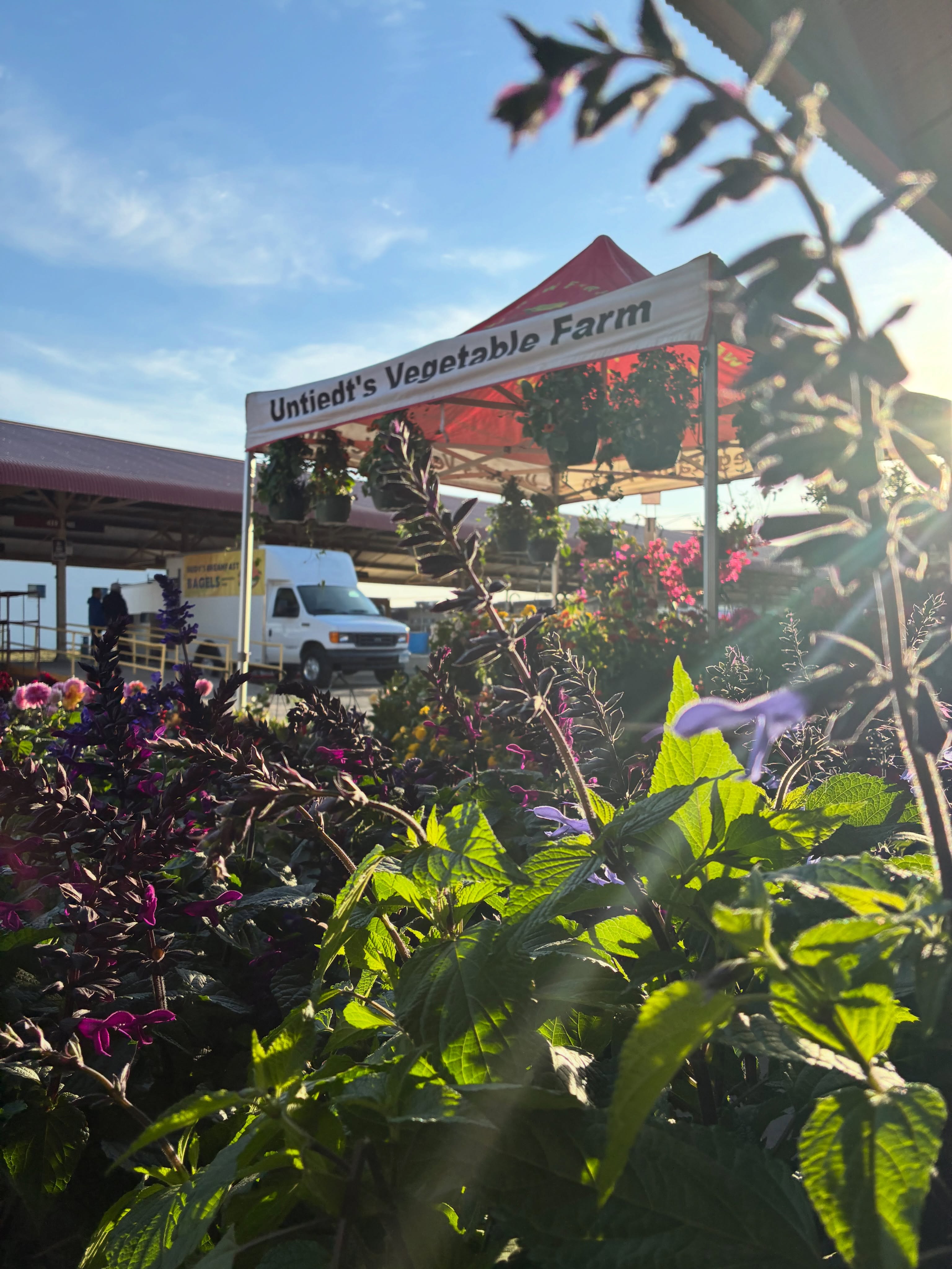 It’s the first Friday market of the season and we’re thrilled to be here! Perfect morning to browse a smaller selection of plants, flowers and other goods at the market ahead of the Mother’s Day weekend crowds. 🌱