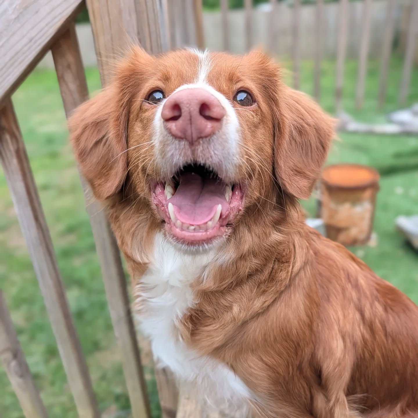 Happy Friday!