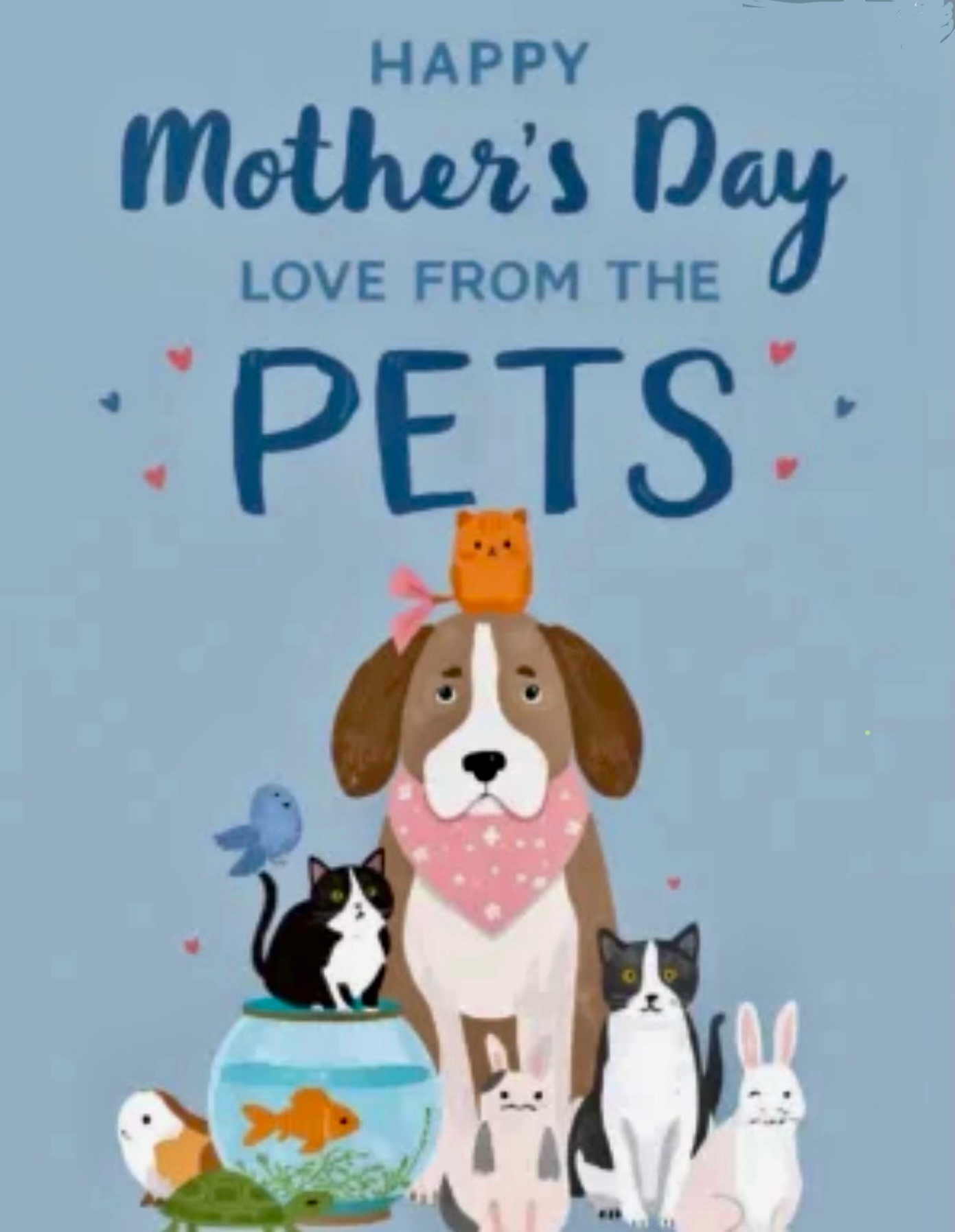 Enjoy your day pet moms!🐾