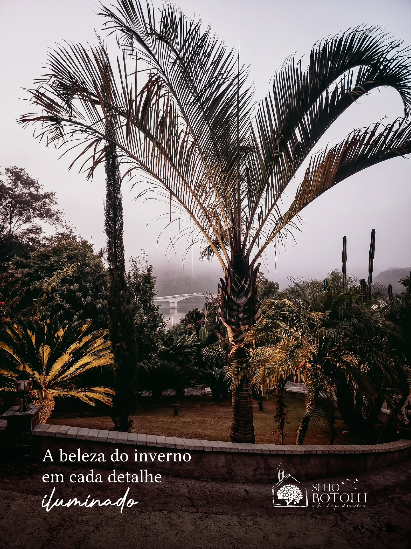 Há uma beleza única quando a névoa abraça o horizonte e o frio transforma a paisagem. No Sítio Botolli, o inverno não é apenas uma estação, é um convite para observar o cenário sob uma nova luz.
Entre o foco na ponte ao fundo e o brilho dos LEDs que revelam cada detalhe do jardim, encontramos a harmonia perfeita entre a natureza e o design. É o cenário ideal para quem aprecia a quietude e a elegância dos dias mais frios.
#sítiobotolli #inverno #erechim #tripotocommunity