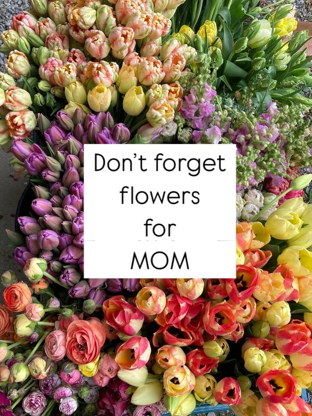 Mother’s Day is this weekend! Today is your last chance to pre-order a bouquet. Pickup at the farm stand or the Hope St Farmers Market in Providence.
Www.moonrosefarmstand.com to order