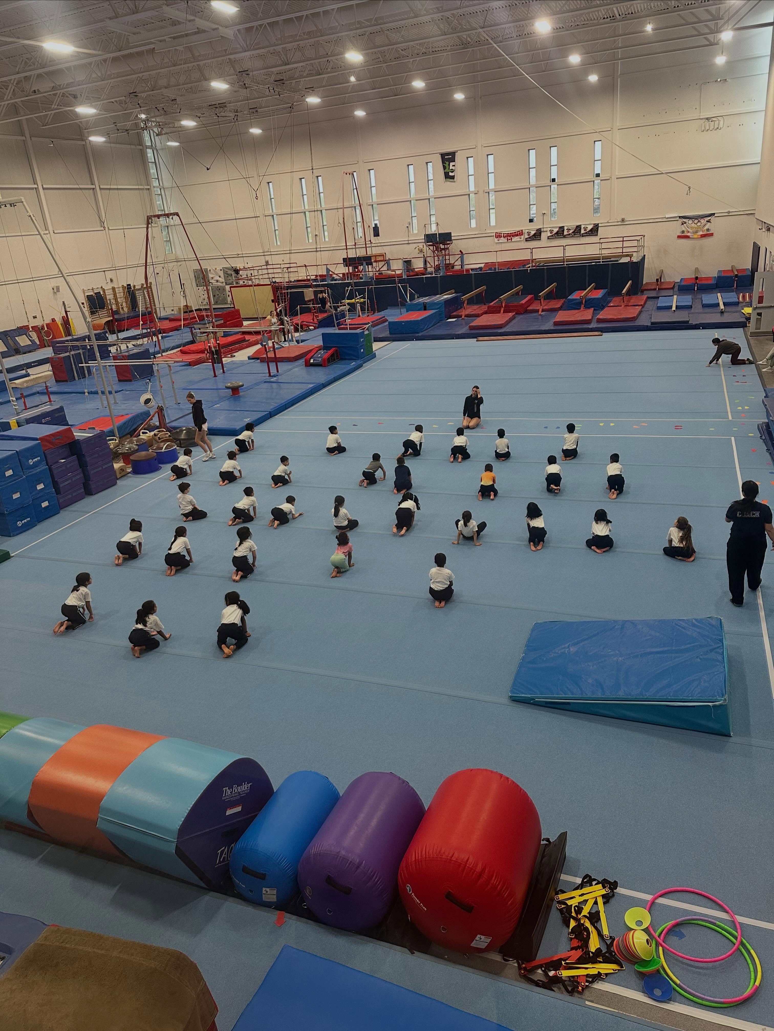 Students are making great progress in their Gymnastics program at Gymnastics Mississauga! #School2026 #mississaugaschools #schoolisfun #gymnasticsforkids