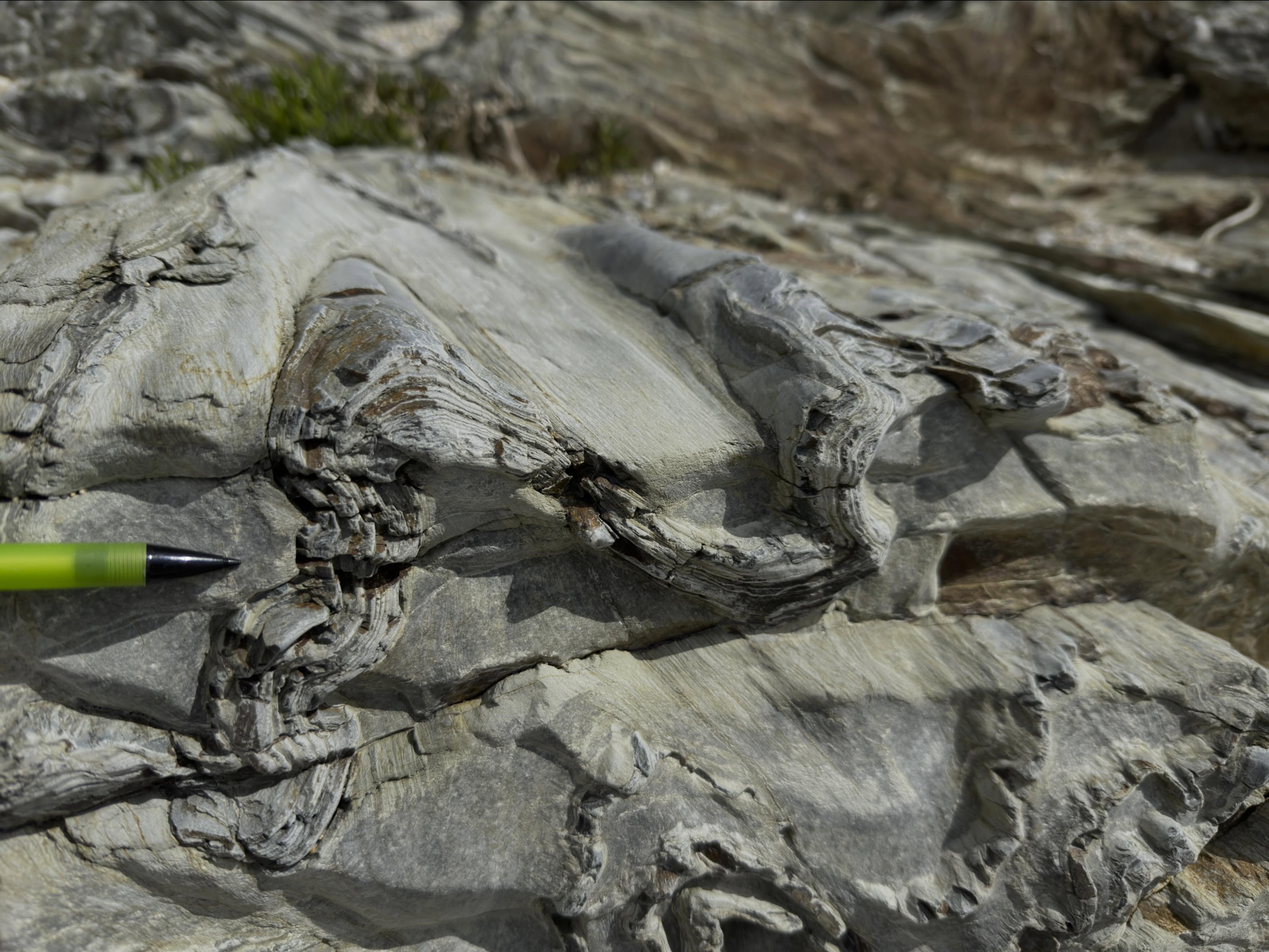 A beautifully exposed fold hinge in the Portscatho Formation at Loe Bar.
If you’re a structural geologist, you’d get as excited as I do when you see something like this. Not very often you get the fold hinge exposed just so to make measuring it so much easier!
We use the term hinge for a fold where the two limbs of the fold meet; where the bedding surface has bent if you like. Think of it like the hinge of a door or the spine of a book.
We would measure the compass orientation of this and its vertical angle relative to horizontal. This way we can analyse the shape, movement and stresses they formed under, and make comparisons to other data from across the county.
This is classified as F2 because it’s a second generation fold. There was an earlier deformation episode preserved in these rocks that elsewhere have been deformed by this episode.
They formed during the Variscan Orogeny over 300 million years ago when two continents collided.
#structuralgeology #loebar #cornwall #geology #geologyrocks