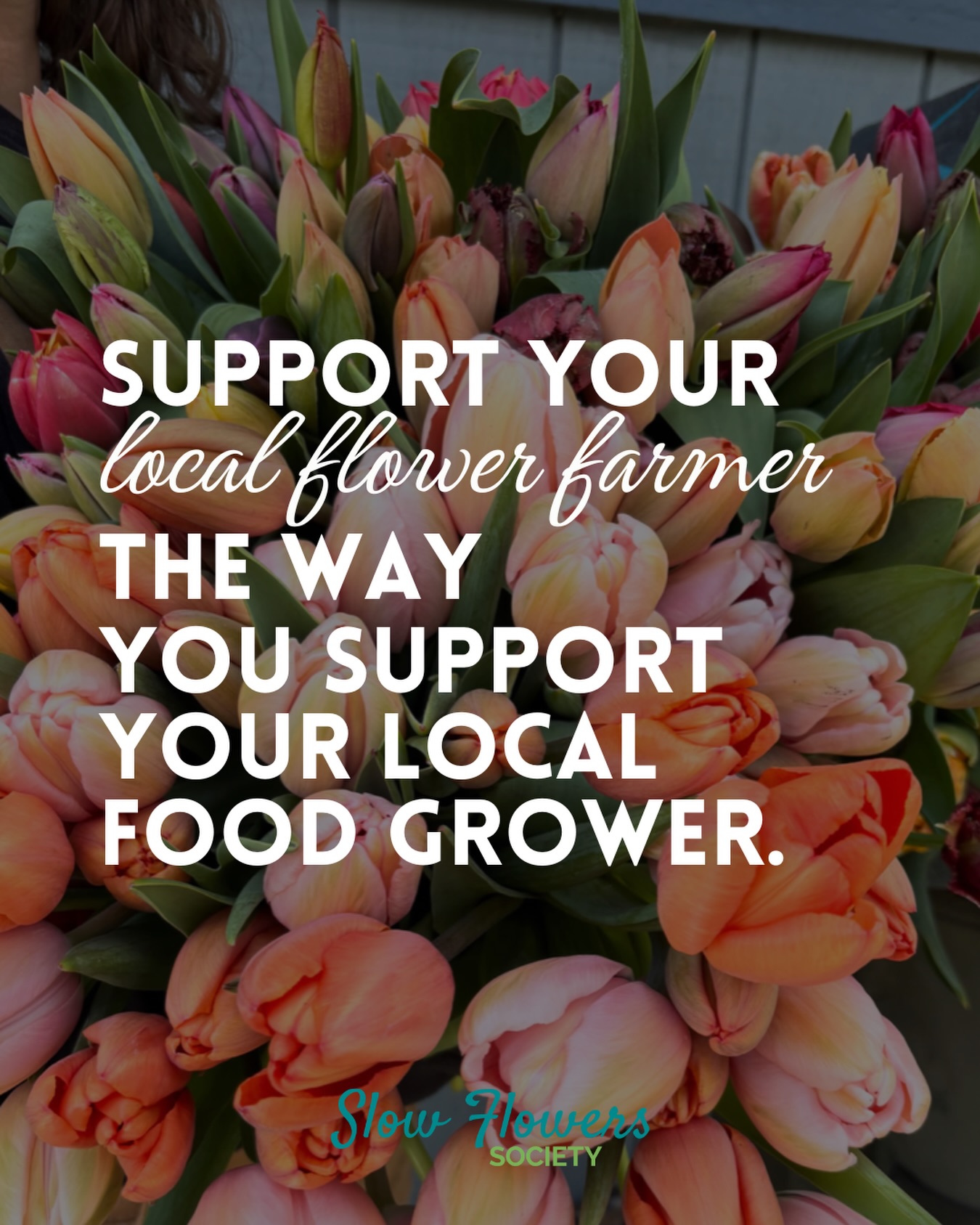 Flowers have seasons, stories, & growers behind every stem 🌷🌻🌹🪻
By choosing locally grown flowers, you are actively supporting small farms, sustainable practices, and most importantly, the people cultivating beauty within our own communities!
🌷Tulips from @gardenwerks_flowerfarm🌷
#slowflowers #supportlocalflowers #grownnotflown #slowflowersmovement #slowflowerssociety