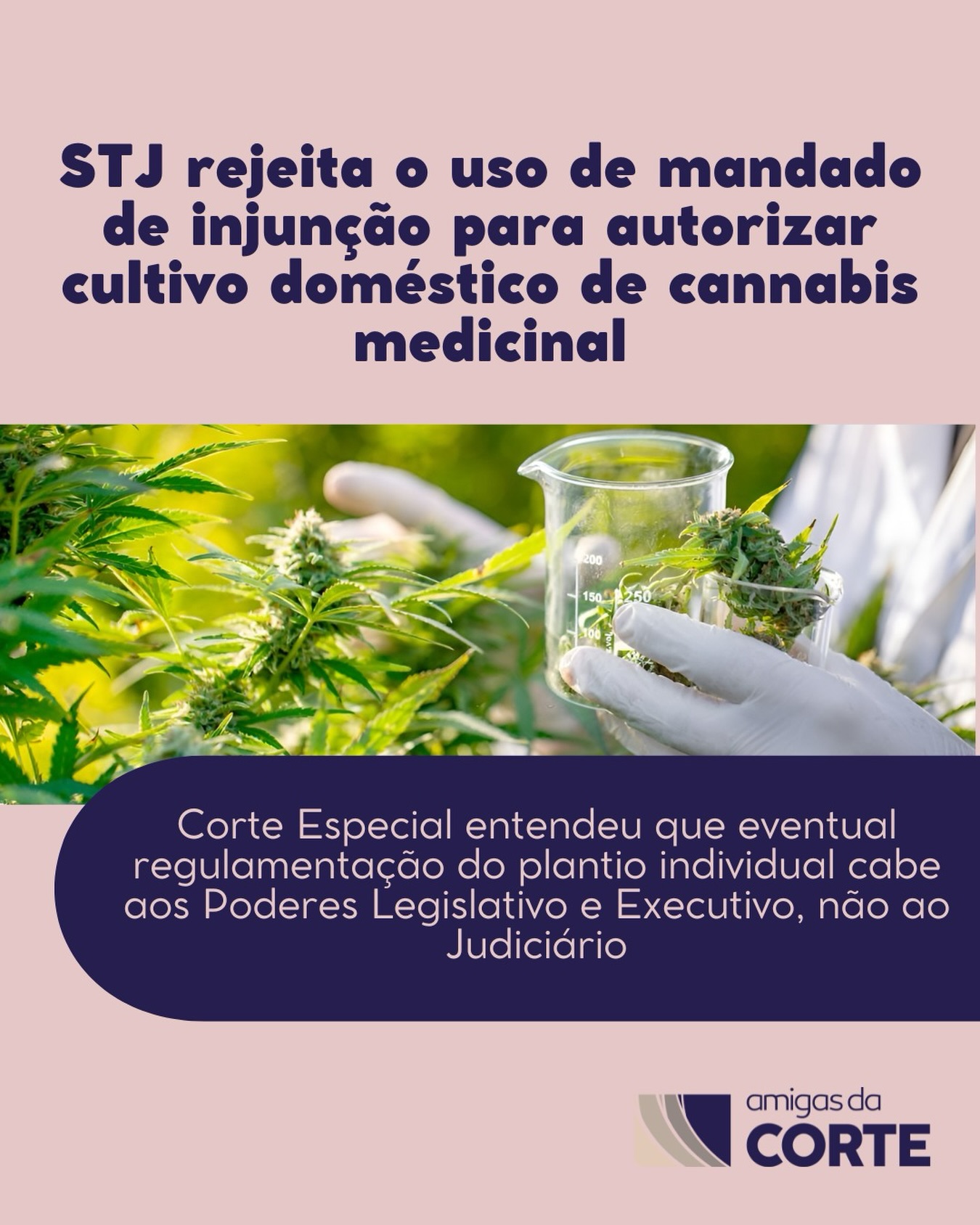 A Corte Especial do STJ decidiu que o mandado de injunção não é meio processual adequado para obter autorização individual de importação e cultivo doméstico de Cannabis sativa, ainda que o pedido tenha finalidade medicinal. Para o colegiado, o instrumento só é cabível quando a ausência de norma inviabiliza o exercício de direito constitucional, o que não se verifica no caso.
O relator, ministro Og Fernandes, destacou que o ordenamento jurídico brasileiro não reconhece, em nível constitucional, direito subjetivo ao cultivo particular de plantas sujeitas a controle especial. Segundo ele, permitir o plantio doméstico por decisão judicial significaria substituir escolhas legislativas e administrativas que exigem regulamentação, fiscalização e controle de riscos.
O STJ também diferenciou o caso do precedente do IAC 16, que tratou do cultivo medicinal e científico por empresas, e não do autocultivo por pessoa física. A Corte observou que a Anvisa já editou normas sobre a cadeia produtiva da cannabis para fins medicinais e científicos, optando por restringir o cultivo a entes com capacidade operacional e controle institucional rigoroso.