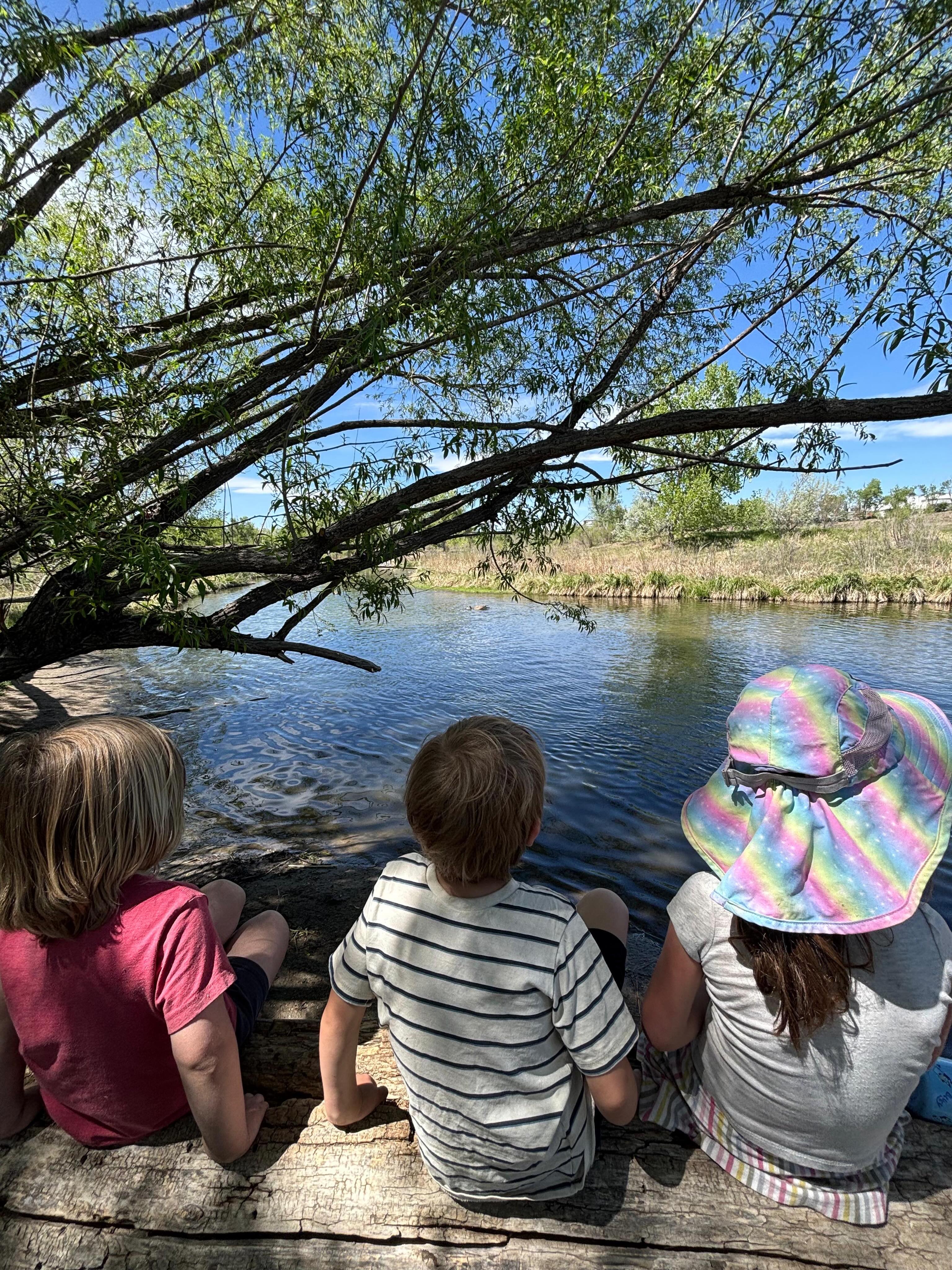As we near the end of the school year…
we are both honored at the reflection of this incredible year
& excited about the horizon unfurling ahead!