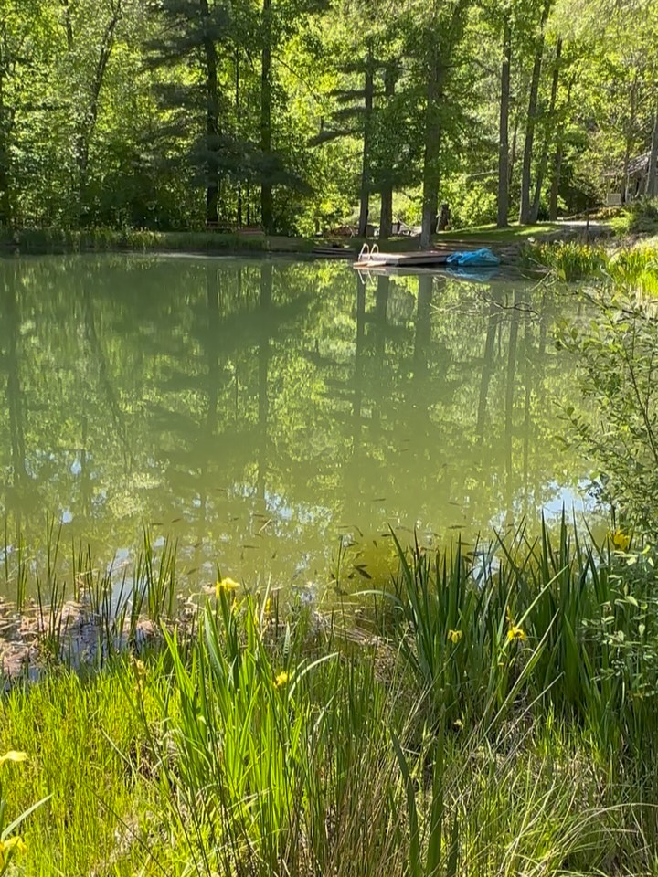 Have you been thinking about hosting your own retreat or workshop on 5+ acres of magical land?
If so, come see us this Saturday!
✨We’re hosting an open house on Saturday, May 16th from 11am-3pm. Invitation is for small business owners and professionals of the wellness realm to explore the land, as well as our accommodations and common areas.
🧚🏻♂️Mackenzie and Brandon will be available for questions and brainstorming.
🌻 @floweringrockfarmnc will have beautiful blooms for custom arrangements from their flower bar.
🍄Megan B will be hosting mini movement classes as an invitation to explore meditative movements and qigong practices supporting awareness, alignment and energetic flow throughout the body.
🔮 @jen.pearson.spiritual.guide will be offering intuitive tarot card readings!
Oh! And snacks. We’ll have snacks.
We hope to see you here!
#wnc #retreat #wellnessjourney #blueridgemountains asheville