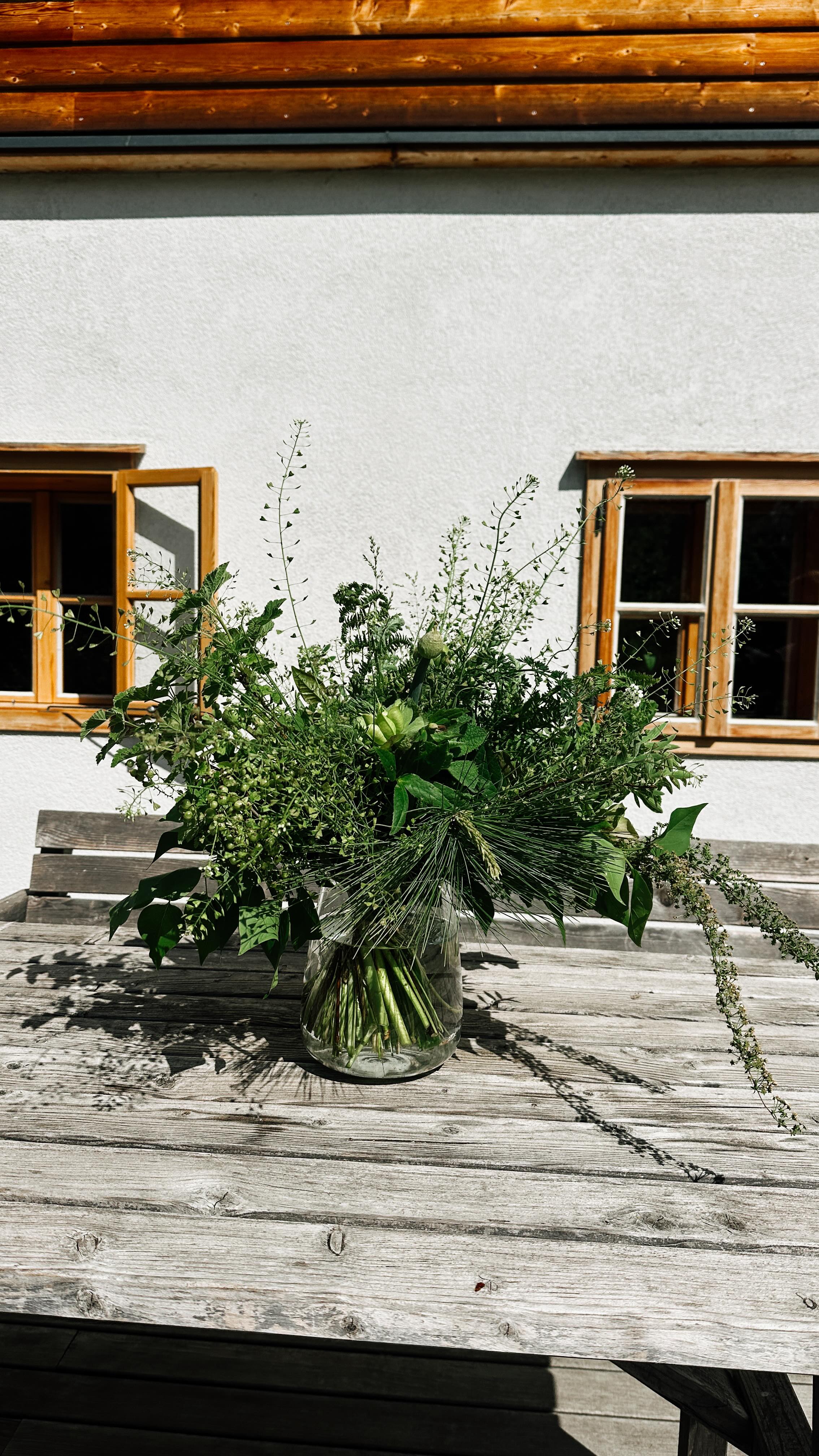 Heute hatten wir in der Blühmelei schon Besuch vom @sennerinmagazin und wir haben gemeinsam einen grünen Strauß gebunden. Schön anders, oder? Die Anleitung dazu findet ihr übrigens in der nächsten Ausgabe der Sennerin.
#grünerblumenstrauß #slowflowers #blumendieanmorgendenken #grün #vielfalt