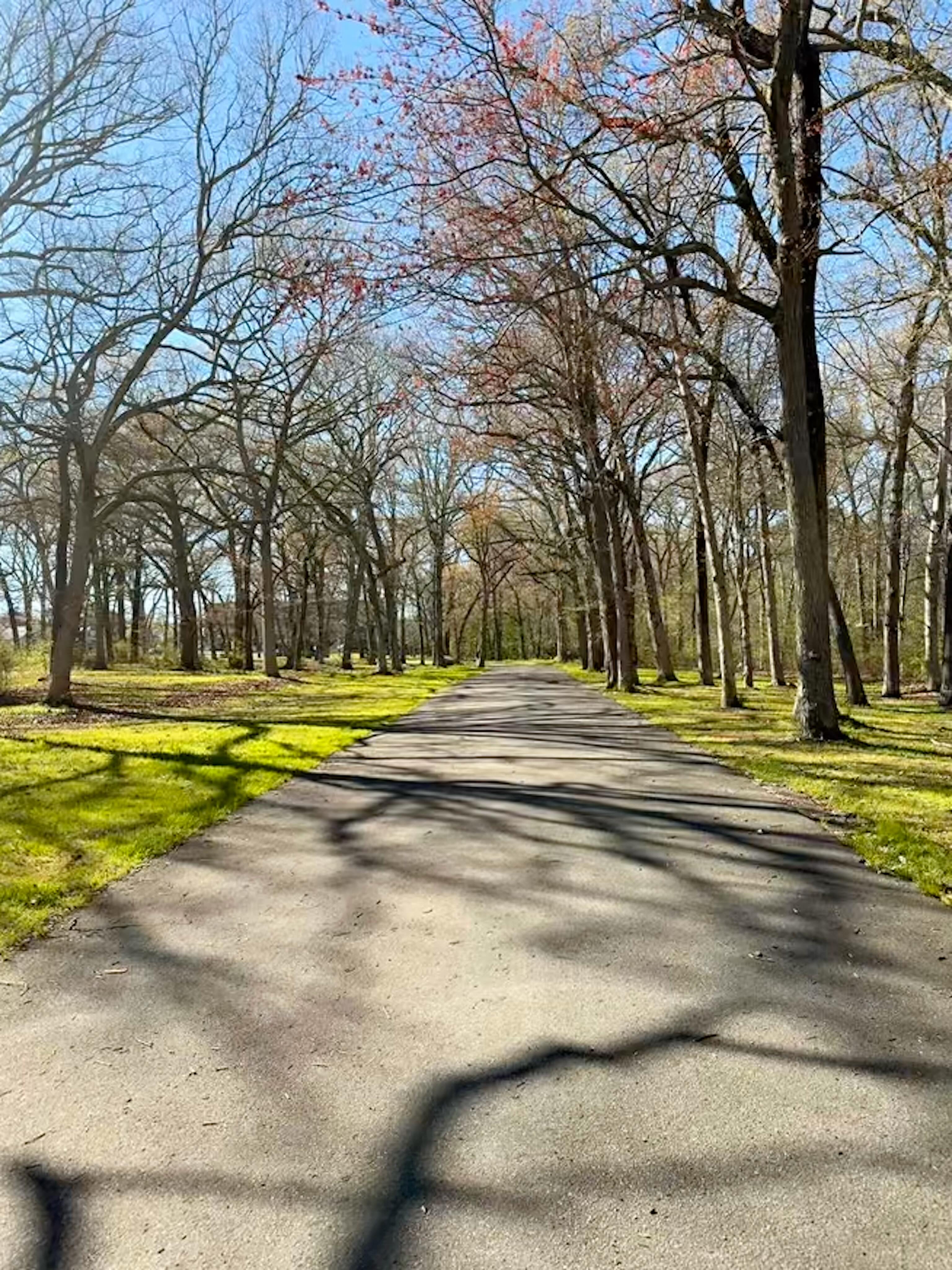 🌞 Ended the school day the right way — a walk in the sunshine at Brooklawn Park and hot dogs at @bombdognb with the family 🌭❤️
#NewBedford #AfterSchoolVibes #SupportLocal #SmallBiz